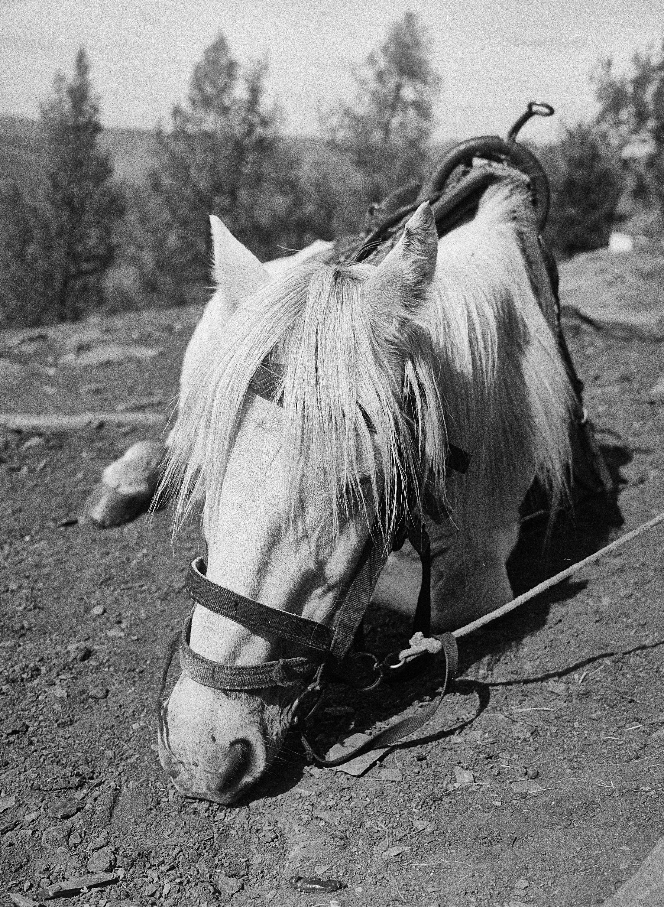 BPHL_XINJIANG_2026_09_11_0574.jpg