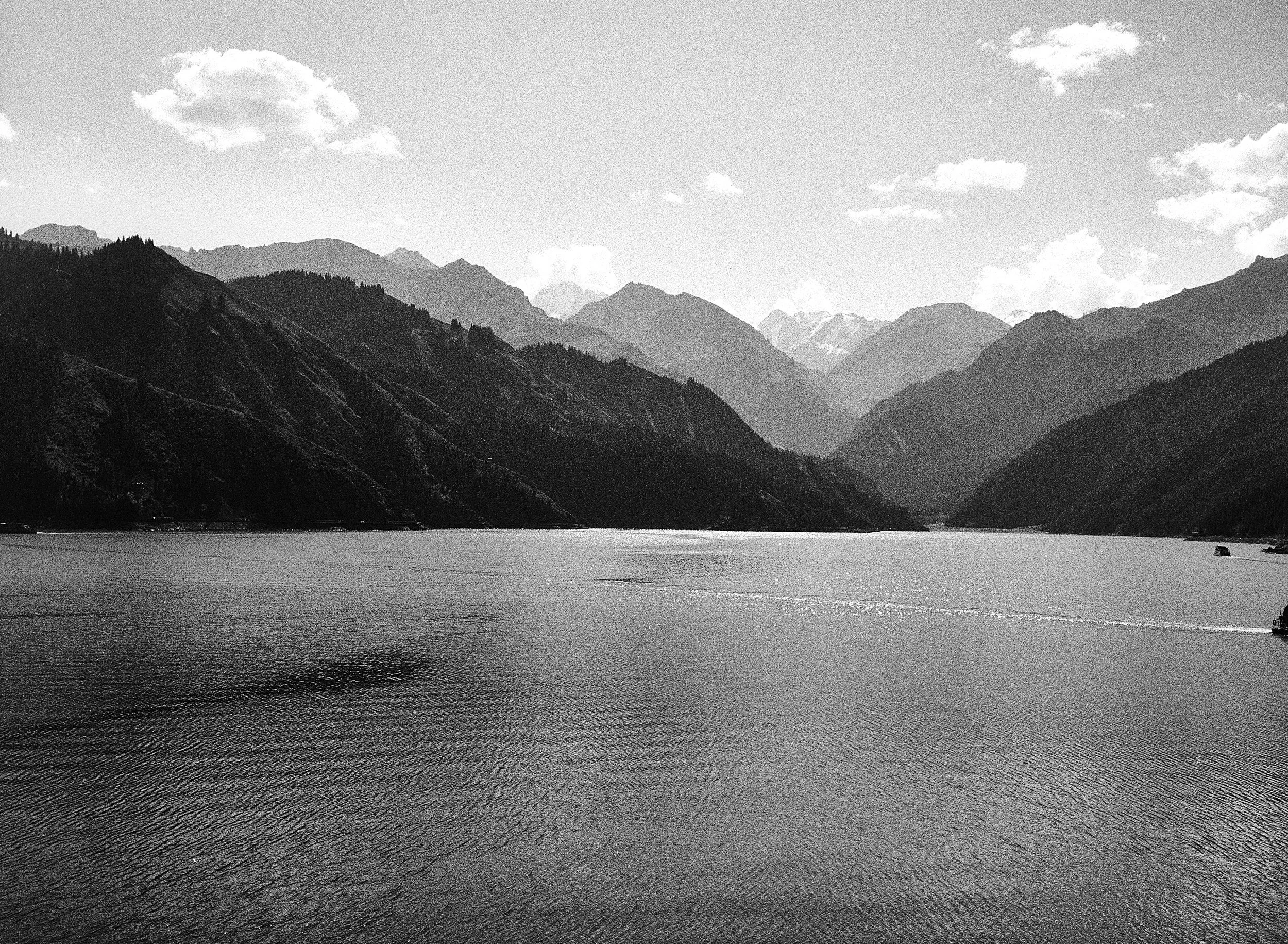 BPHL_XINJIANG_2026_09_11_0592.jpg