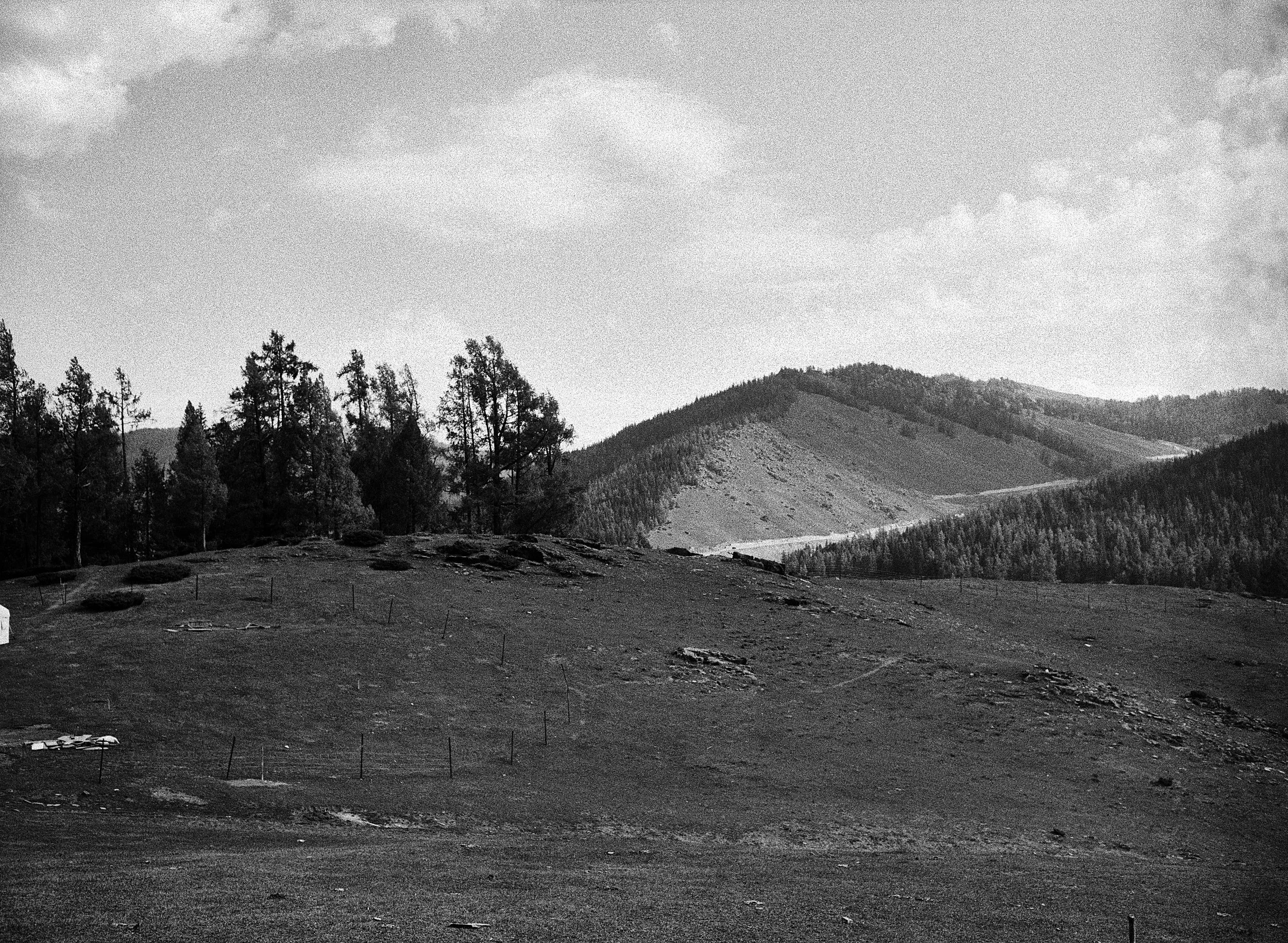 BPHL_XINJIANG_2026_09_11_0608.jpg