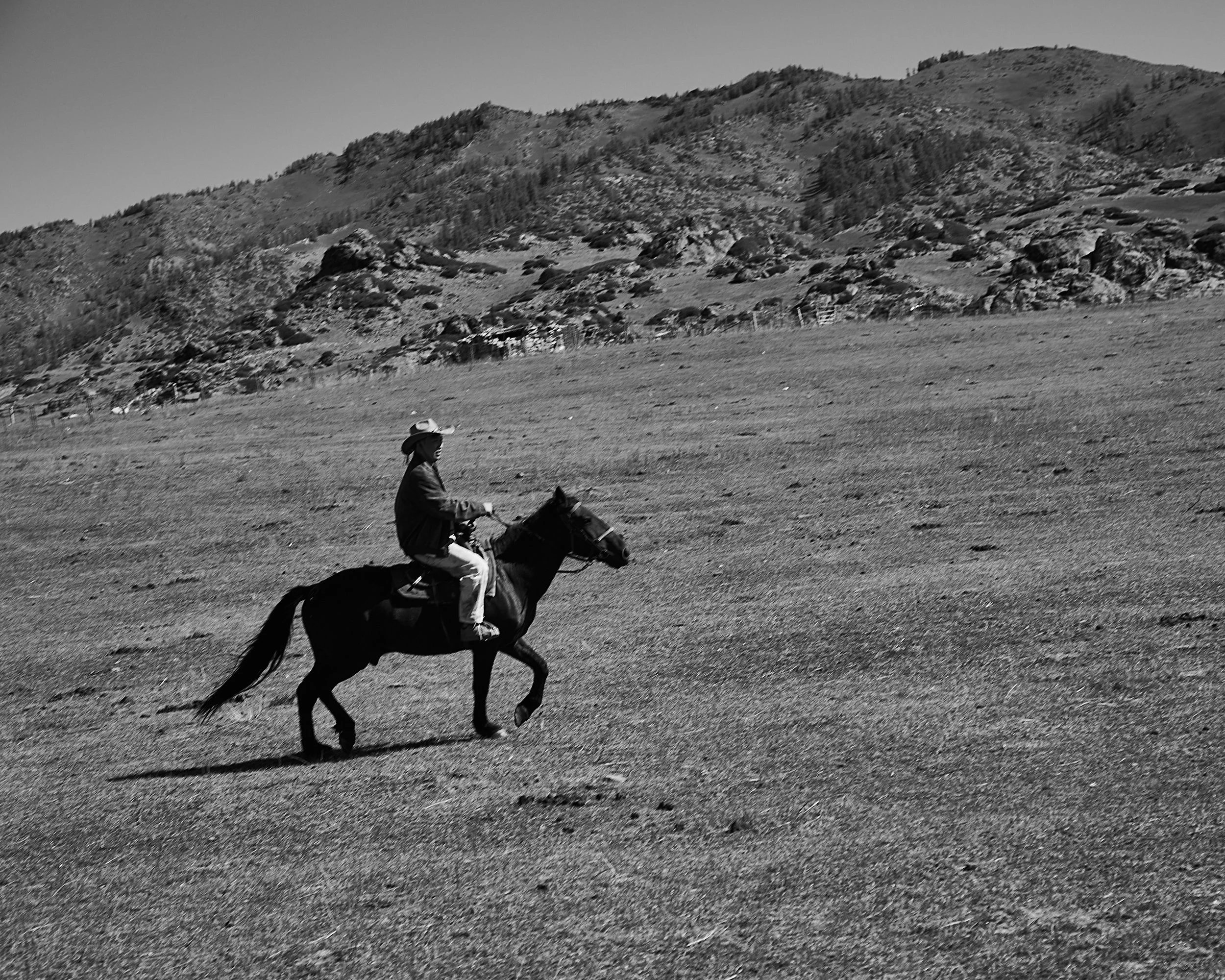 BPHL_XINJIANG_2026_09_11_0615.jpg