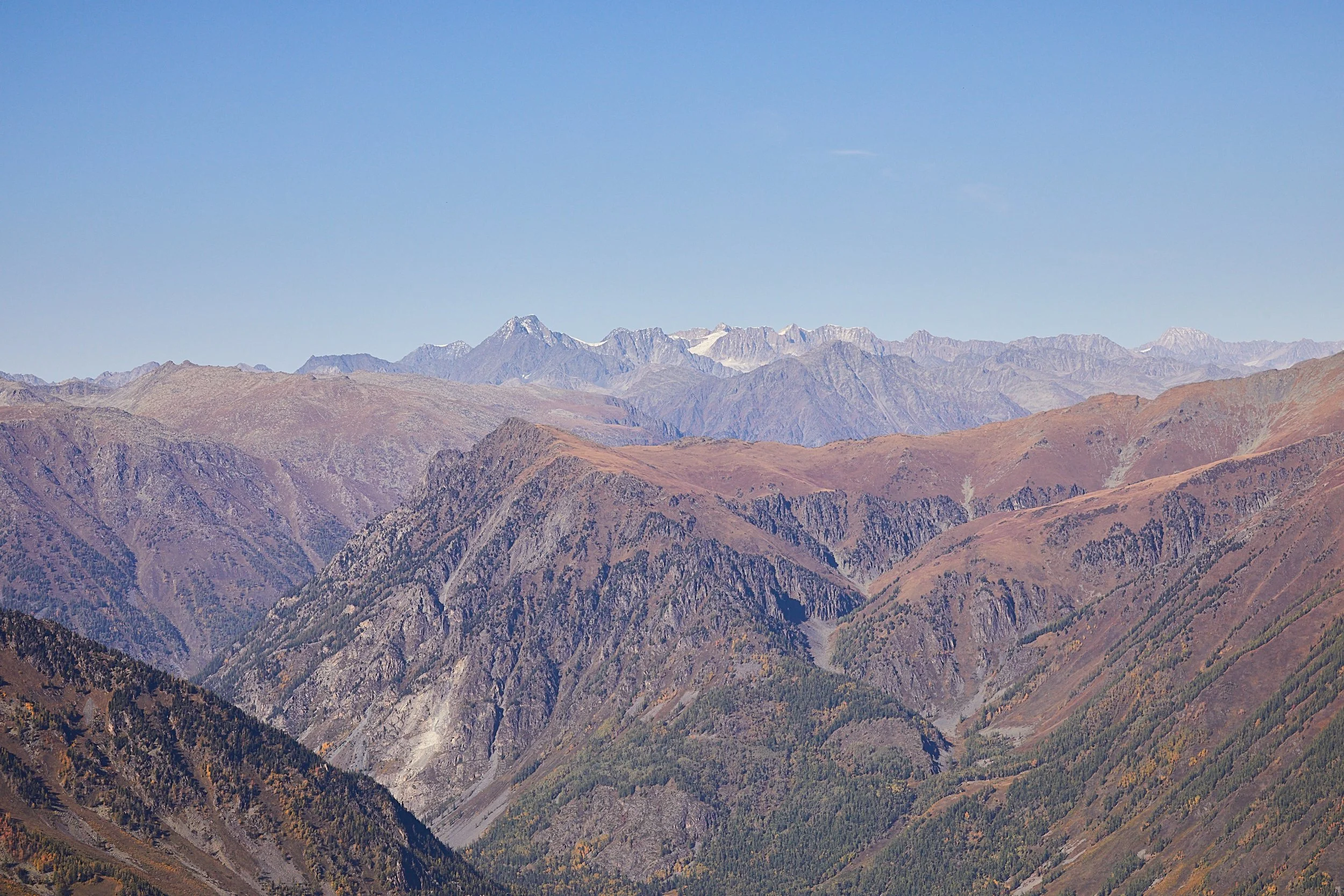 BPHL_XINJIANG_2026_09_11_0617.jpg