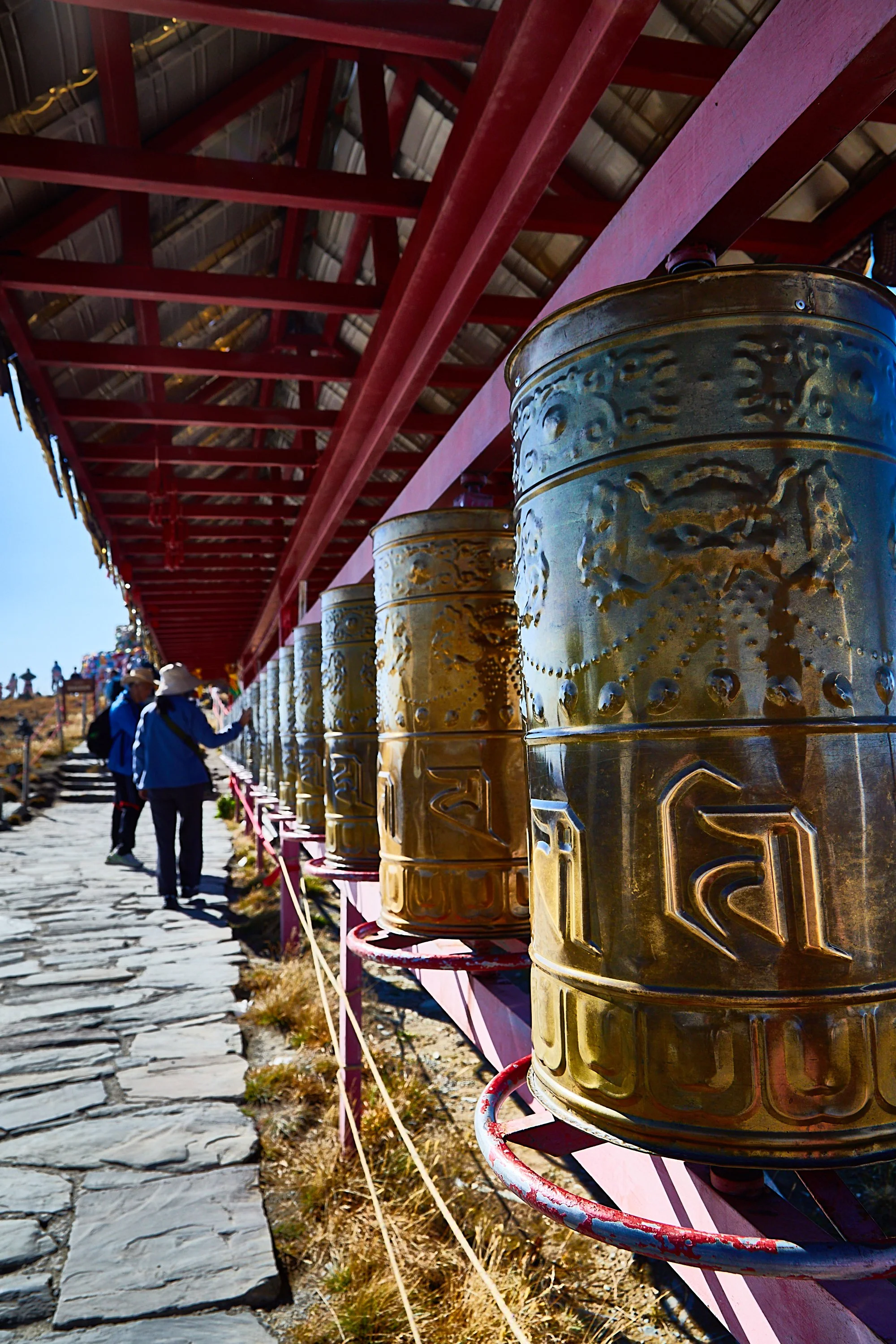 BPHL_XINJIANG_2026_09_11_0623.jpg