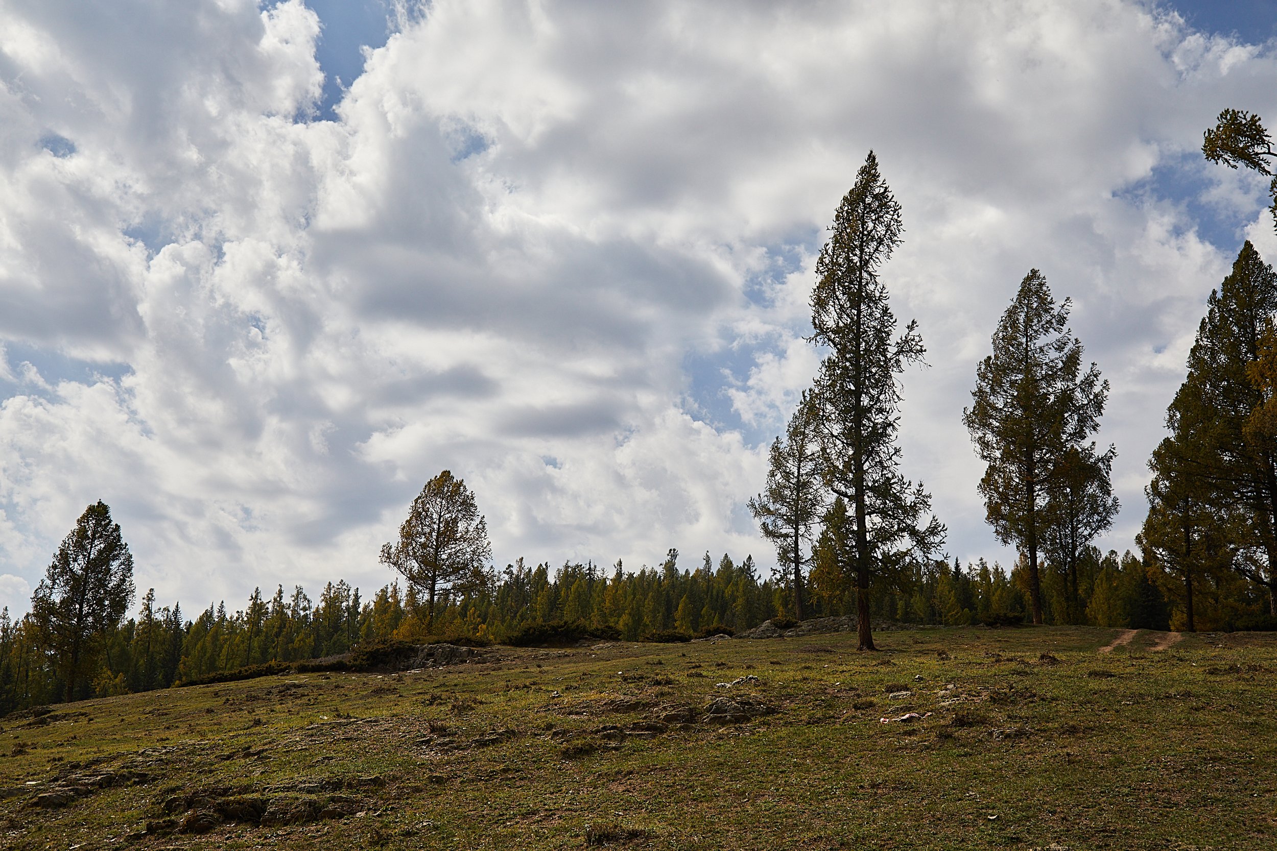 BPHL_XINJIANG_2026_09_11_0643.jpg