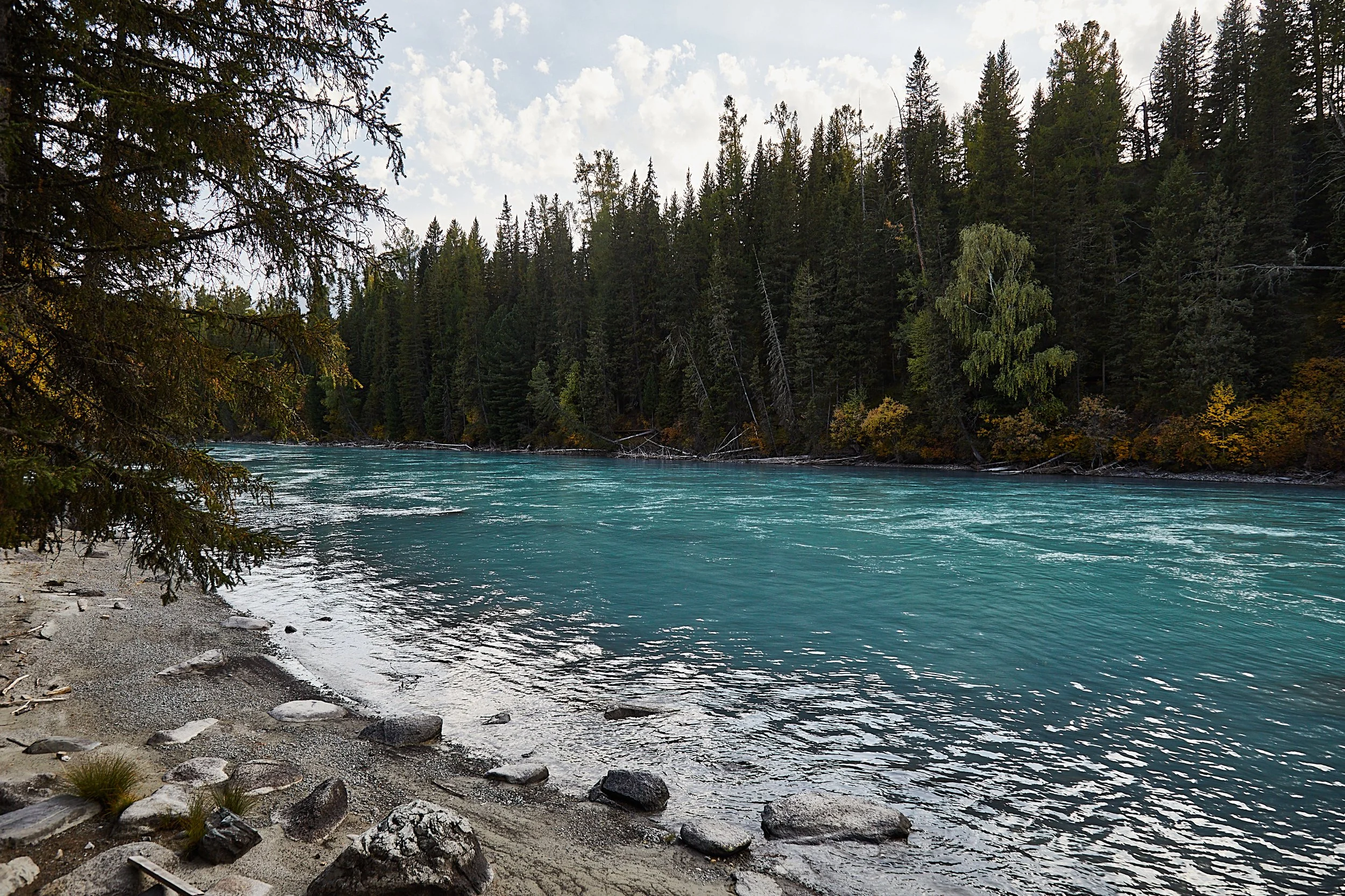 BPHL_XINJIANG_2026_09_11_0649.jpg