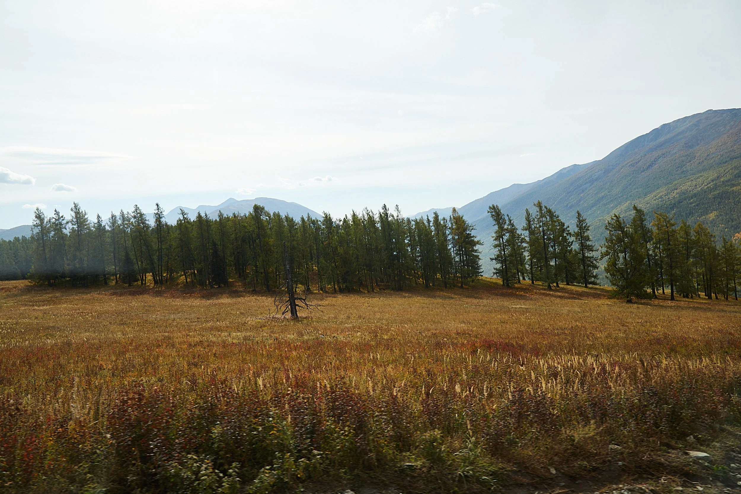 BPHL_XINJIANG_2026_09_11_0652.jpg