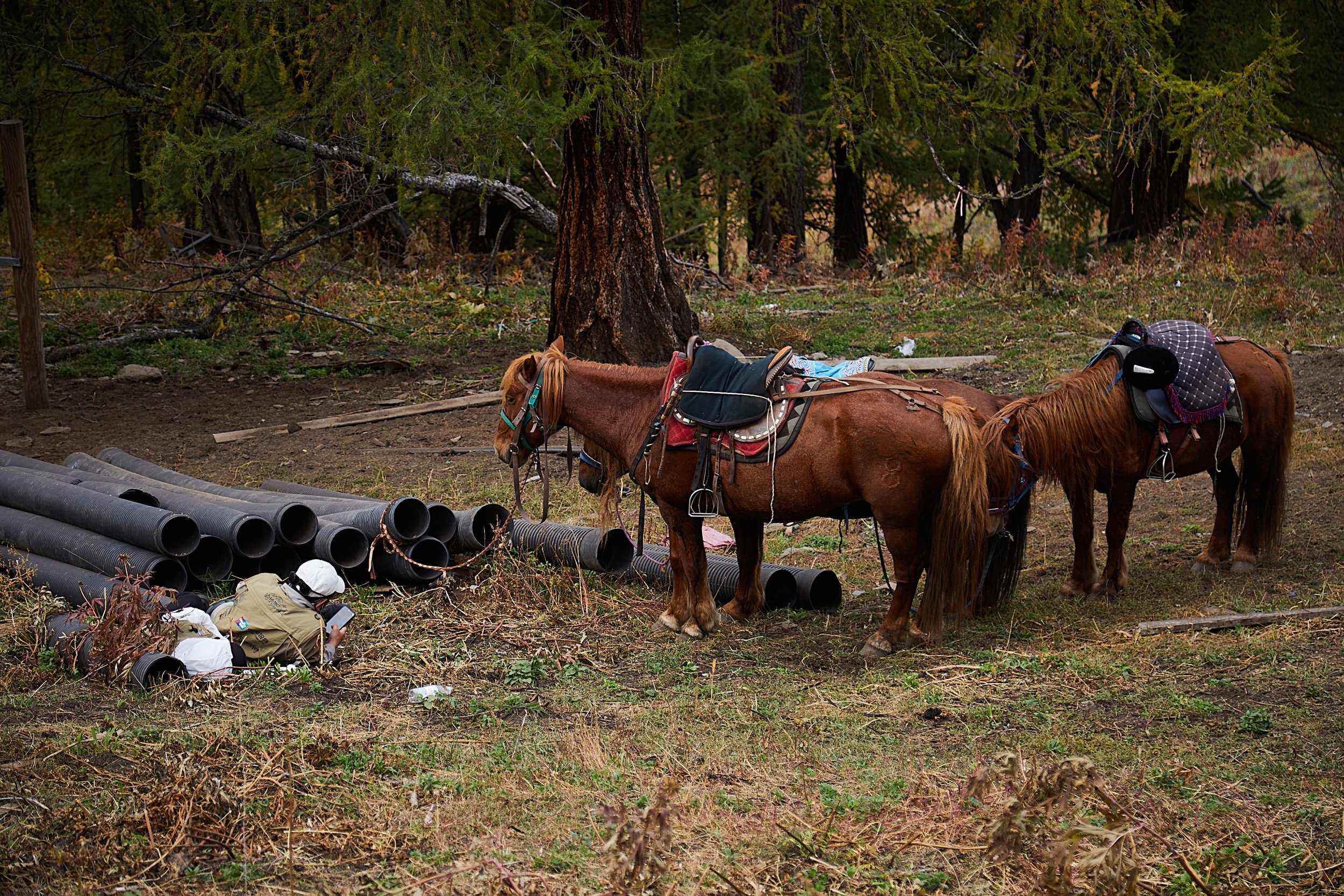 BPHL_XINJIANG_2026_09_11_0656.jpg