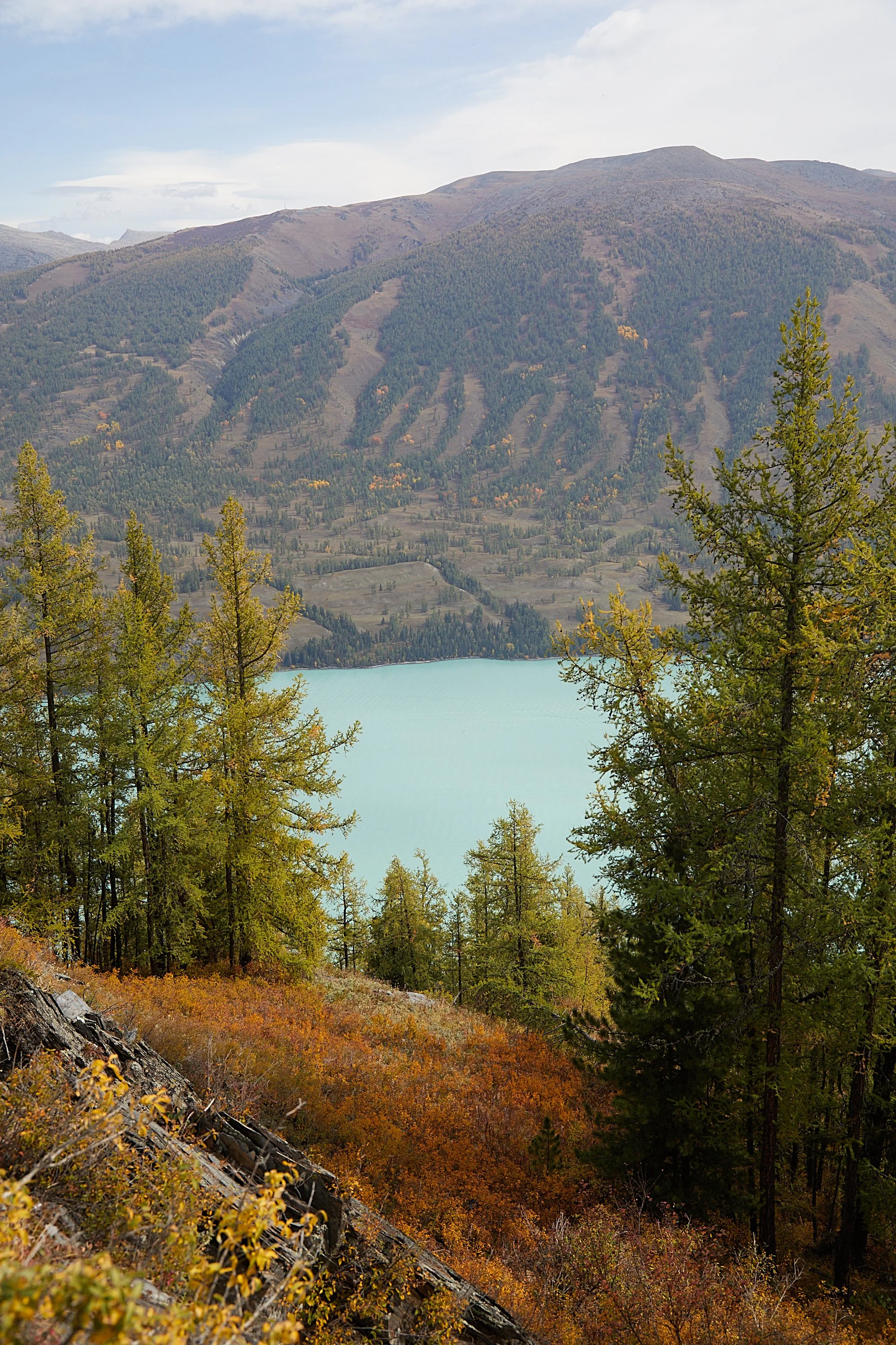 BPHL_XINJIANG_2026_09_11_0658.jpg