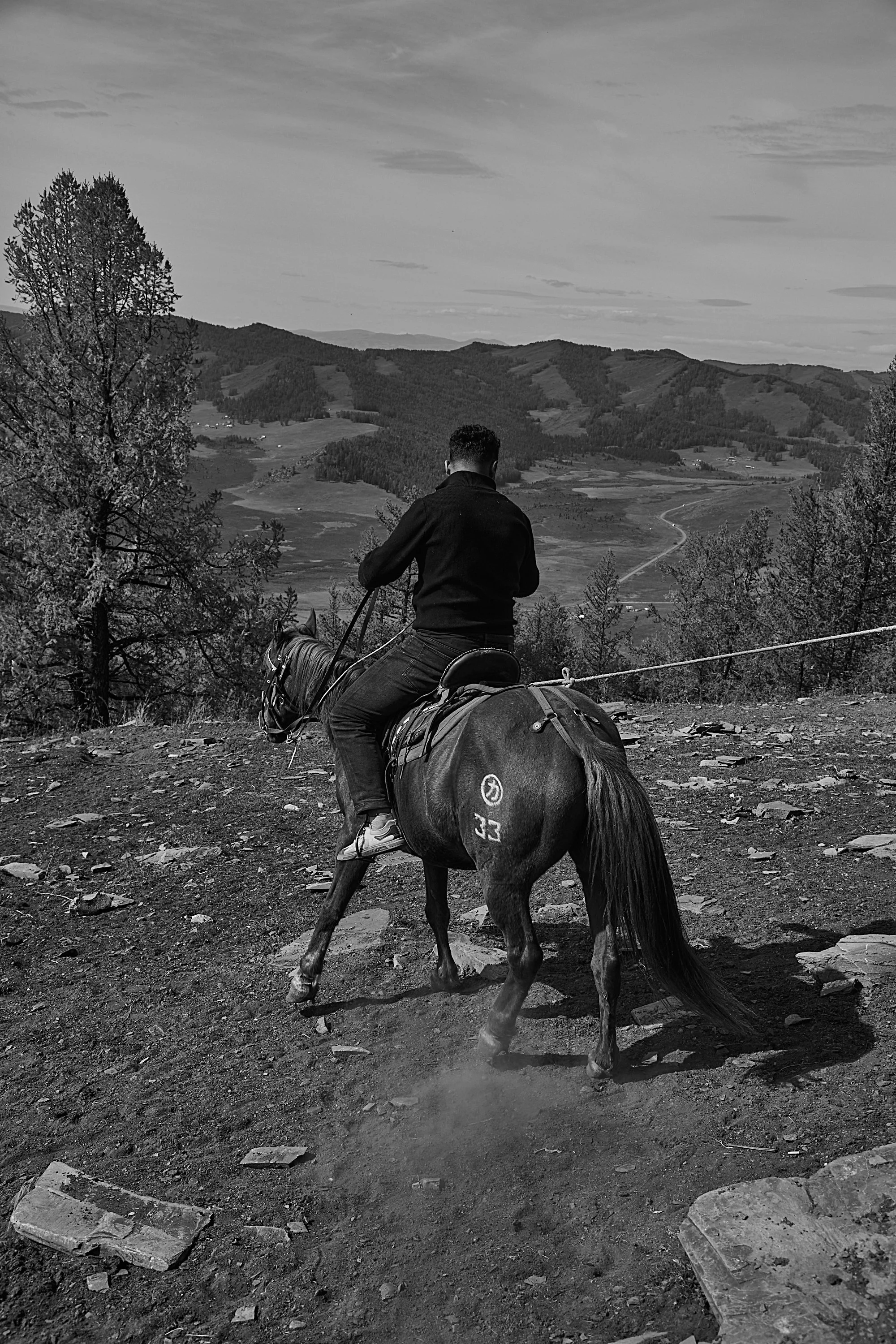 BPHL_XINJIANG_2026_09_11_0663.jpg