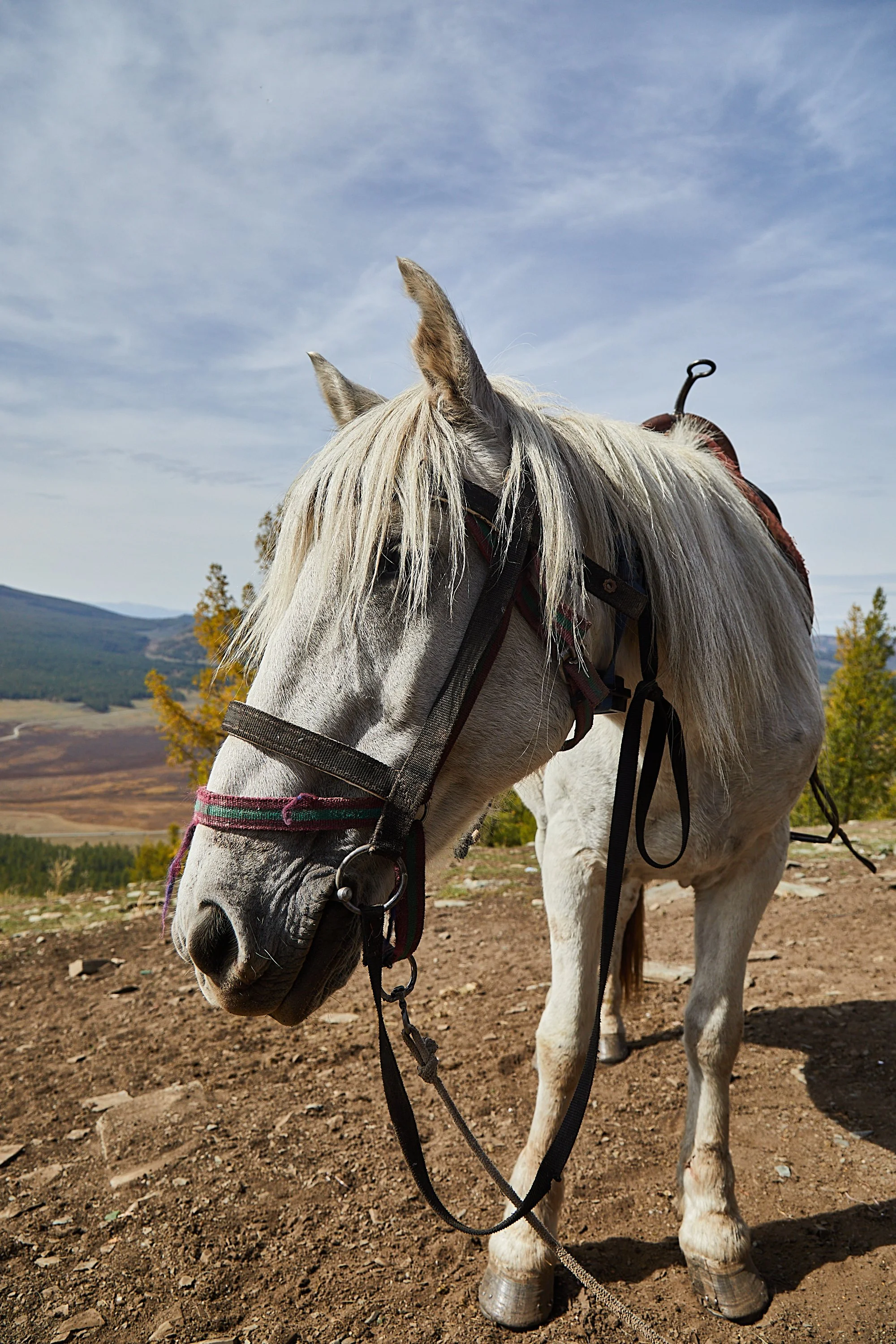 BPHL_XINJIANG_2026_09_11_0667.jpg