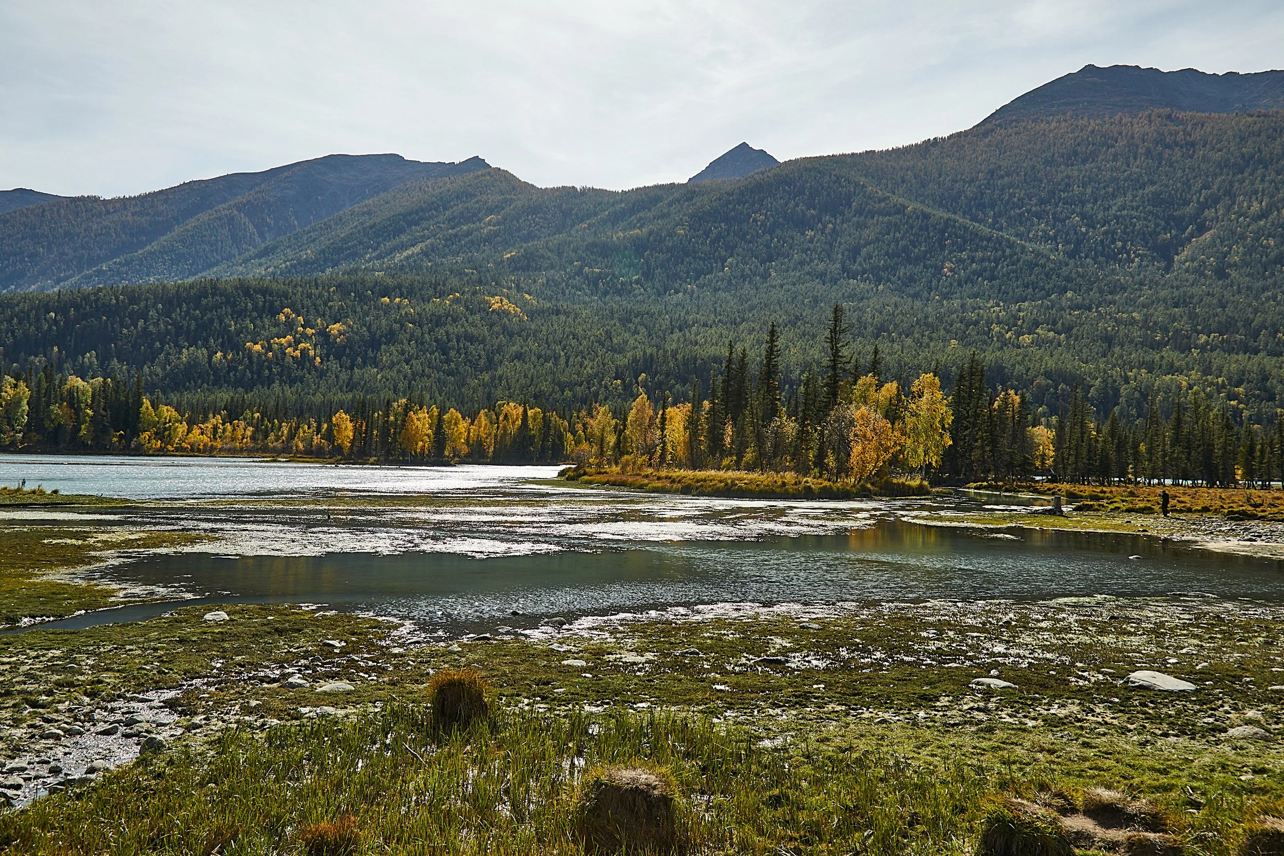 BPHL_XINJIANG_2026_09_11_0676.jpg