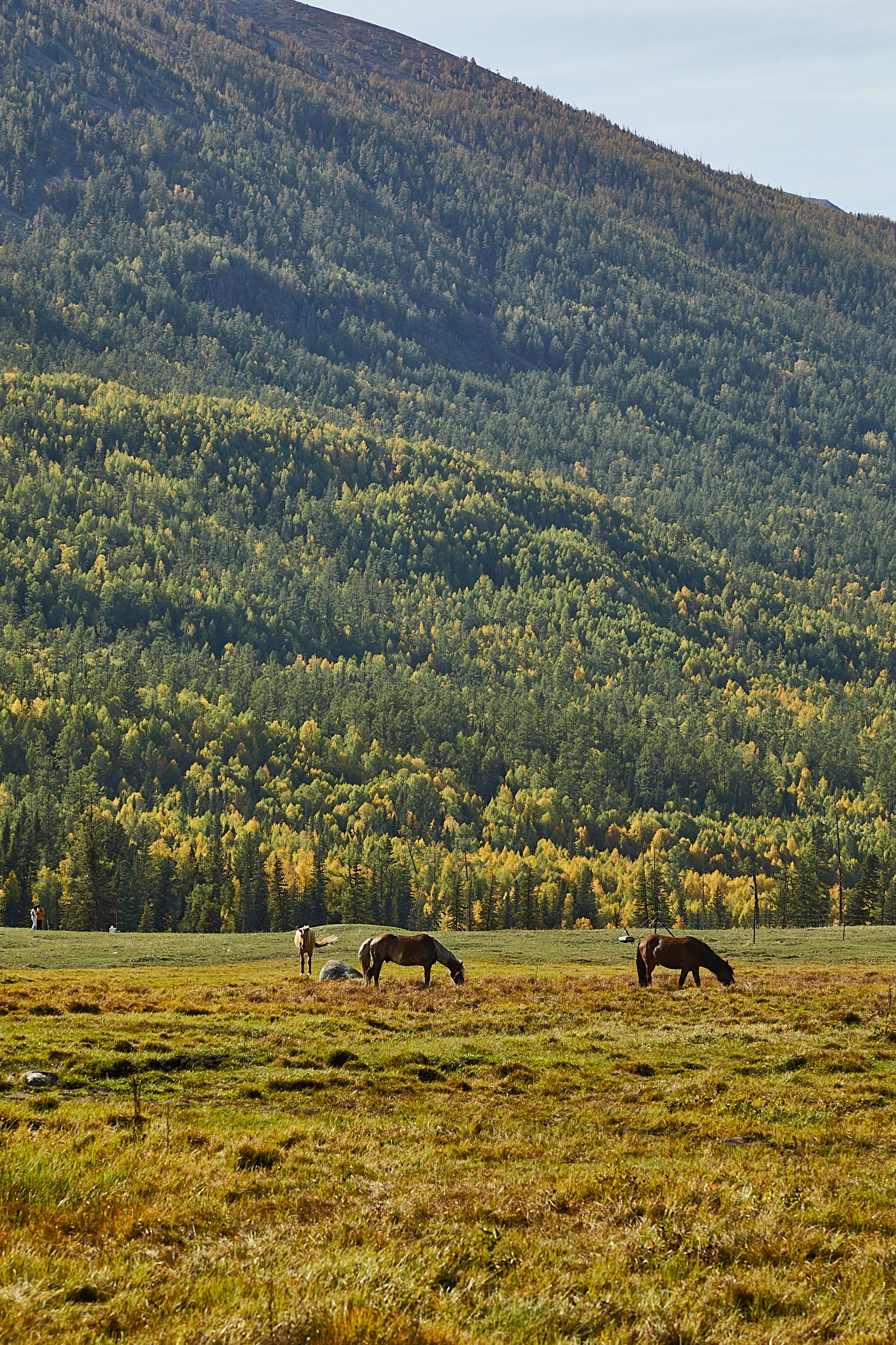 BPHL_XINJIANG_2026_09_11_0677.jpg