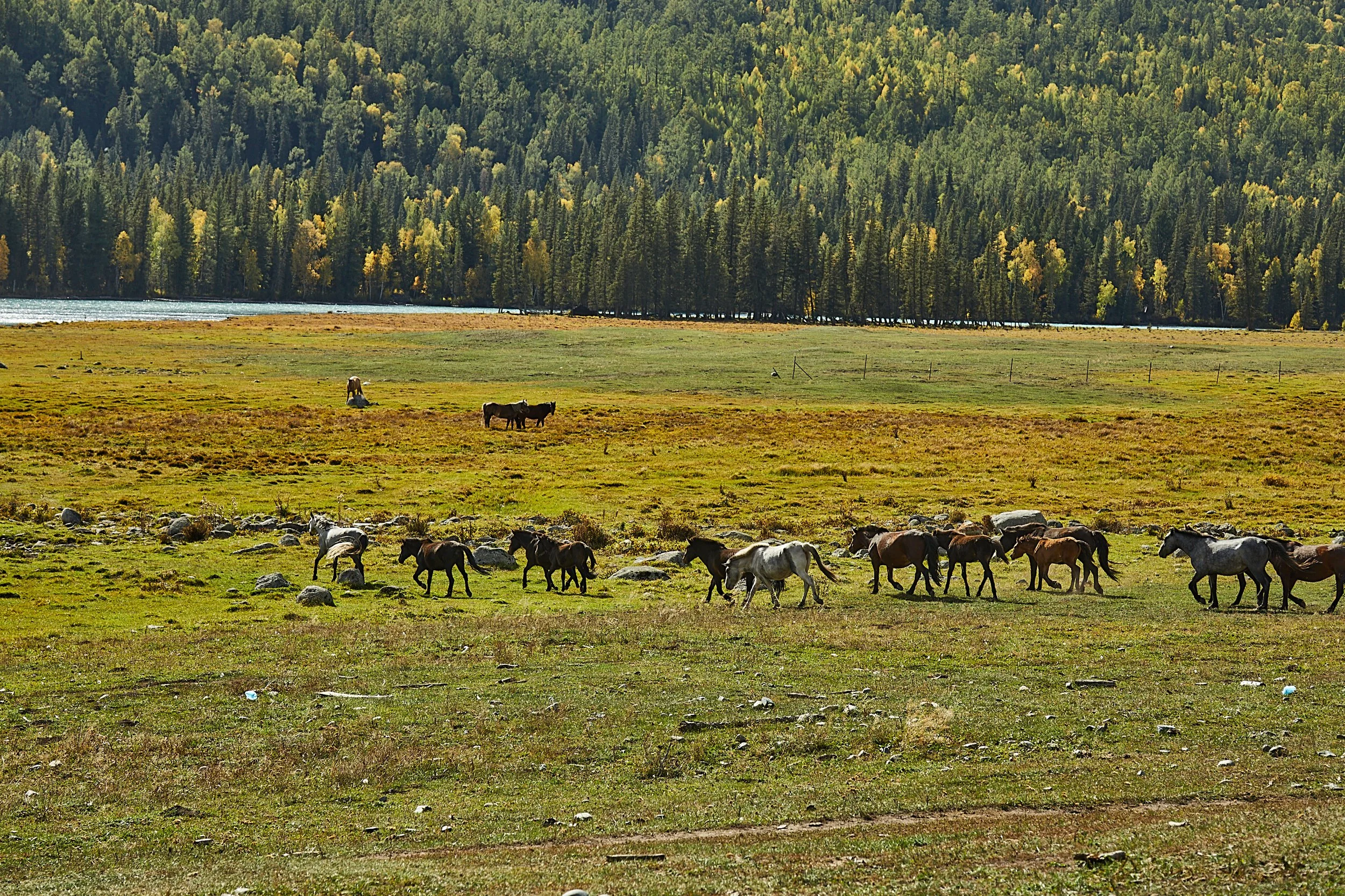 BPHL_XINJIANG_2026_09_11_0678.jpg