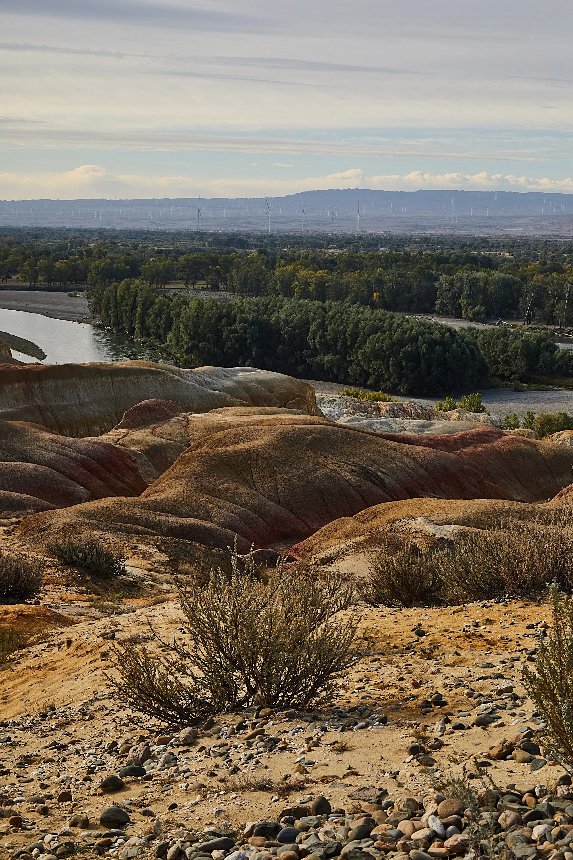 BPHL_XINJIANG_2026_09_11_0682.jpg