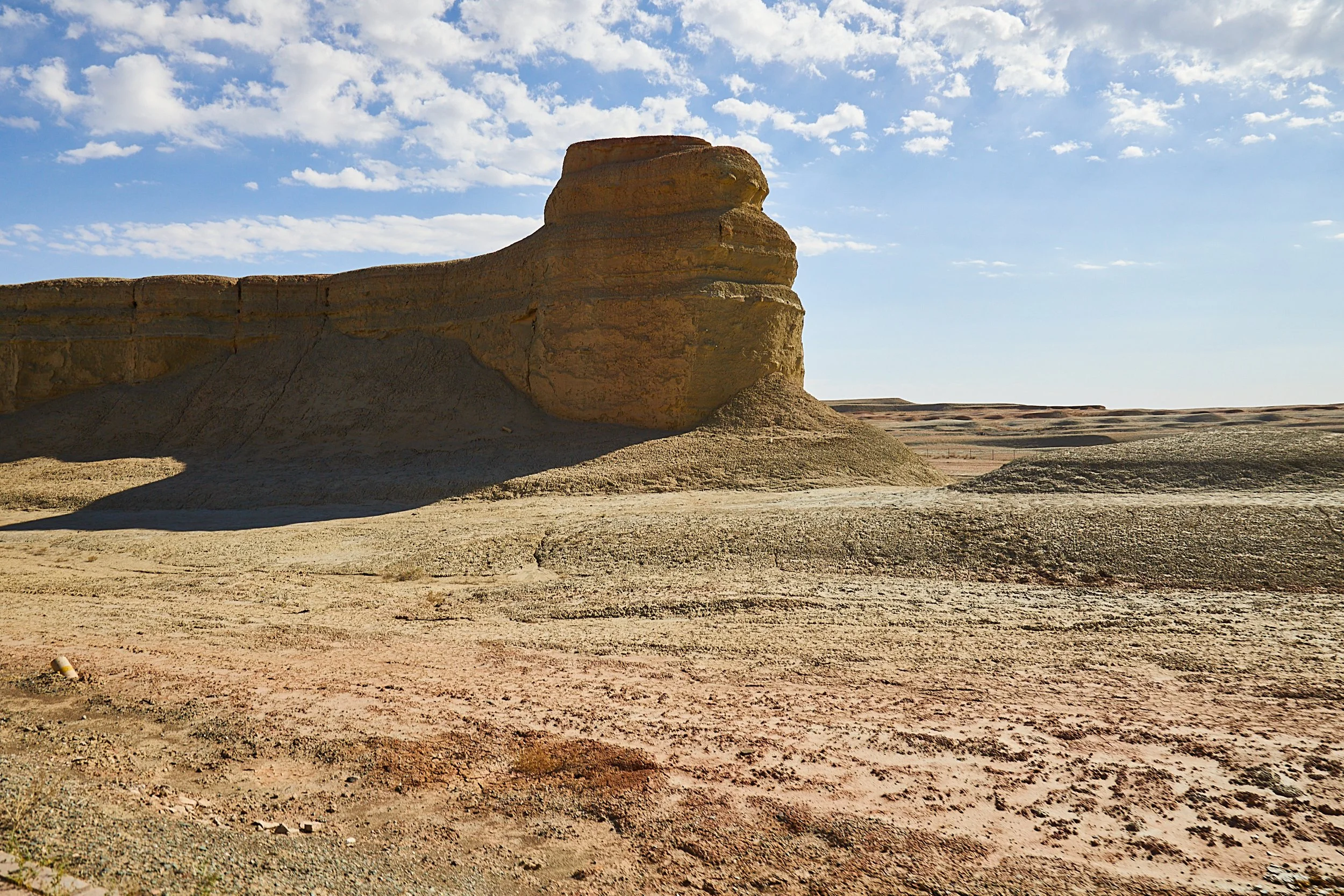 BPHL_XINJIANG_2026_09_11_0687.jpg