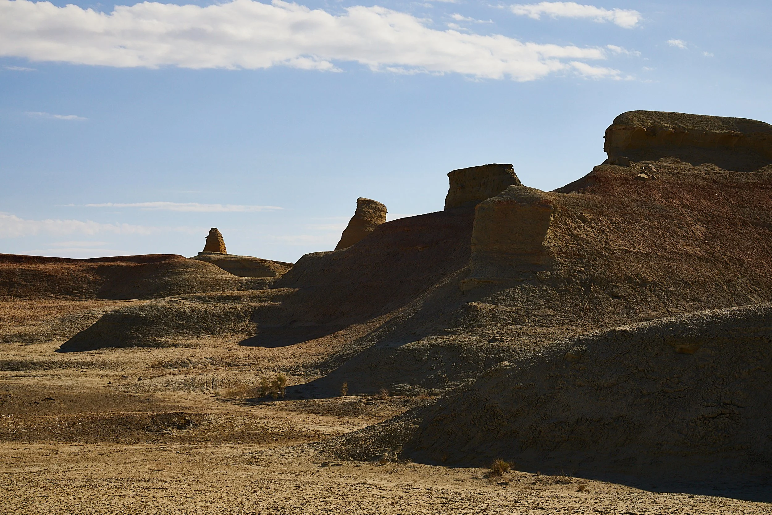 BPHL_XINJIANG_2026_09_11_0688.jpg