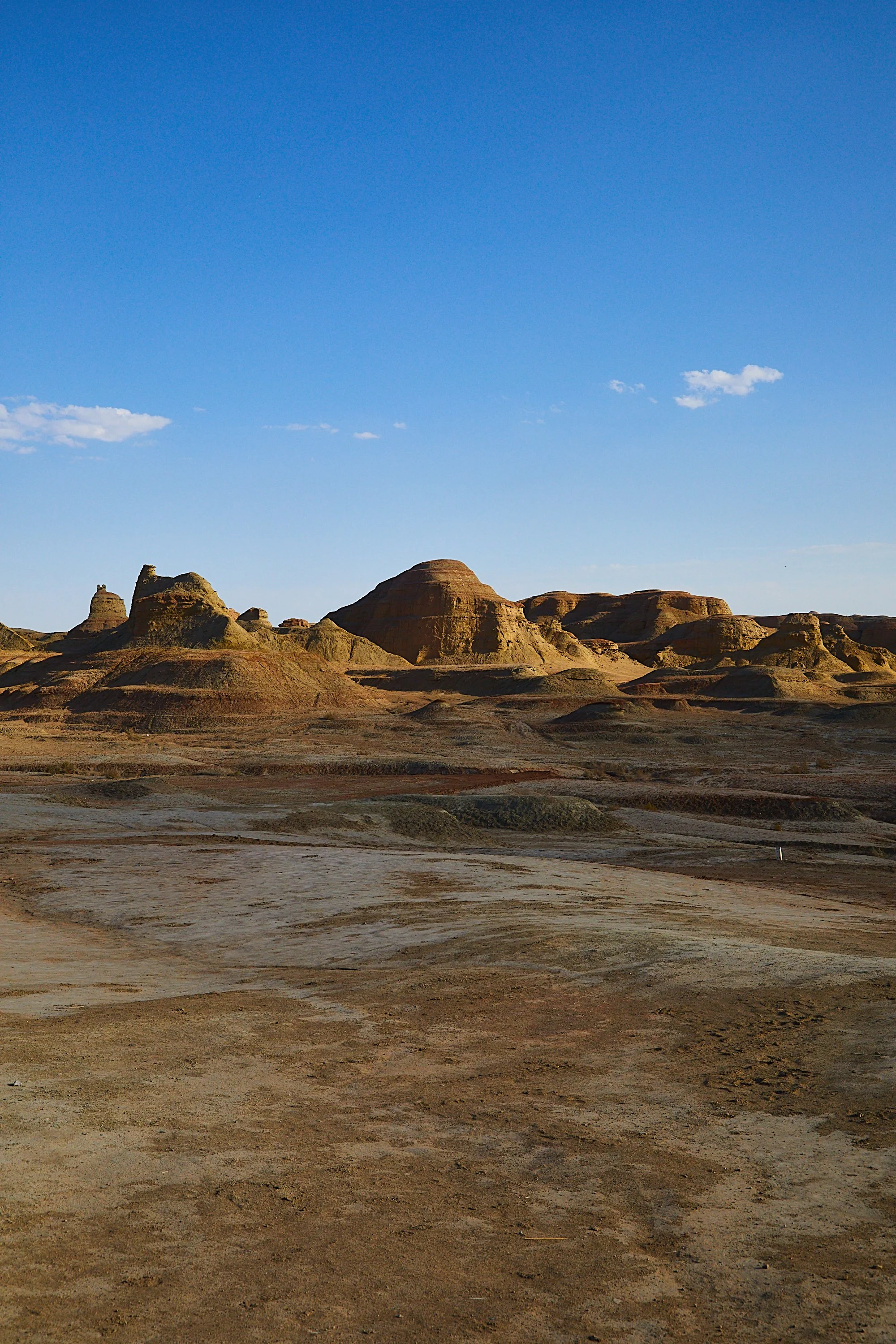 BPHL_XINJIANG_2026_09_11_0691.jpg