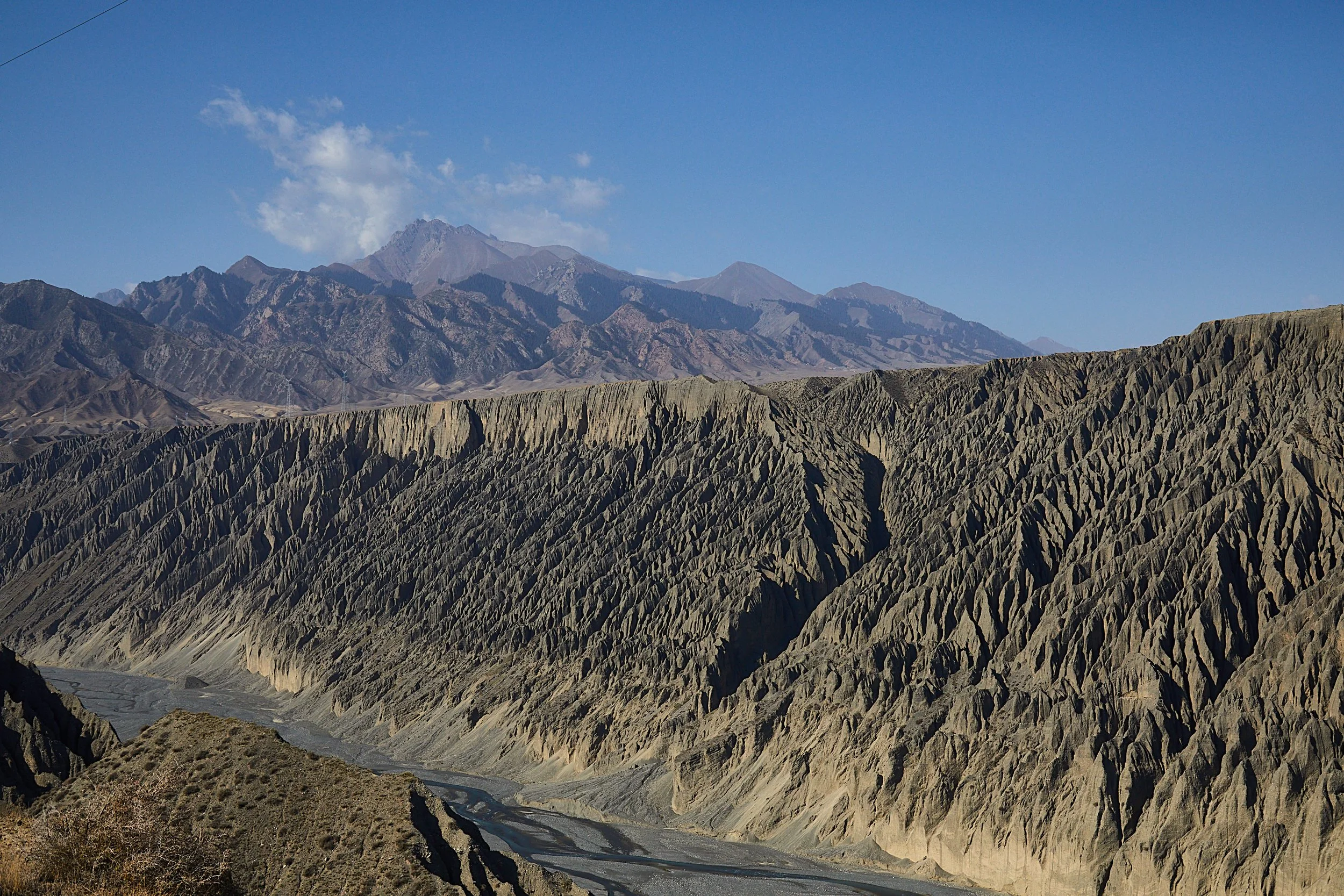 BPHL_XINJIANG_2026_09_11_0692.jpg
