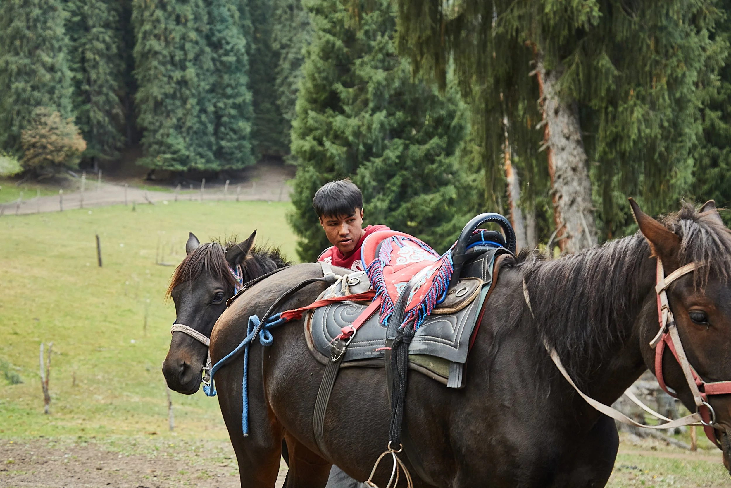 BPHL_XINJIANG_2026_09_11_0719.jpg