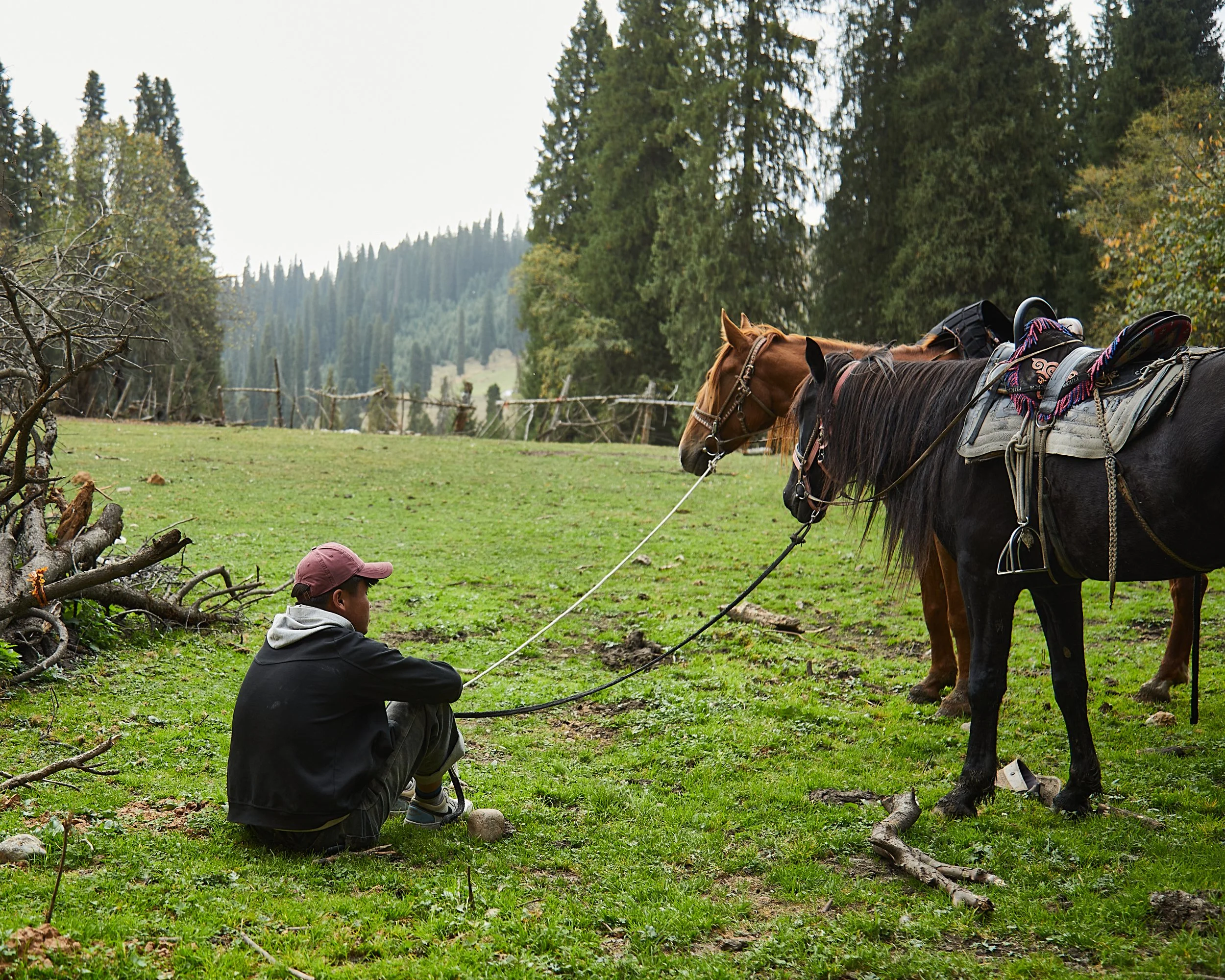 BPHL_XINJIANG_2026_09_11_0764.jpg