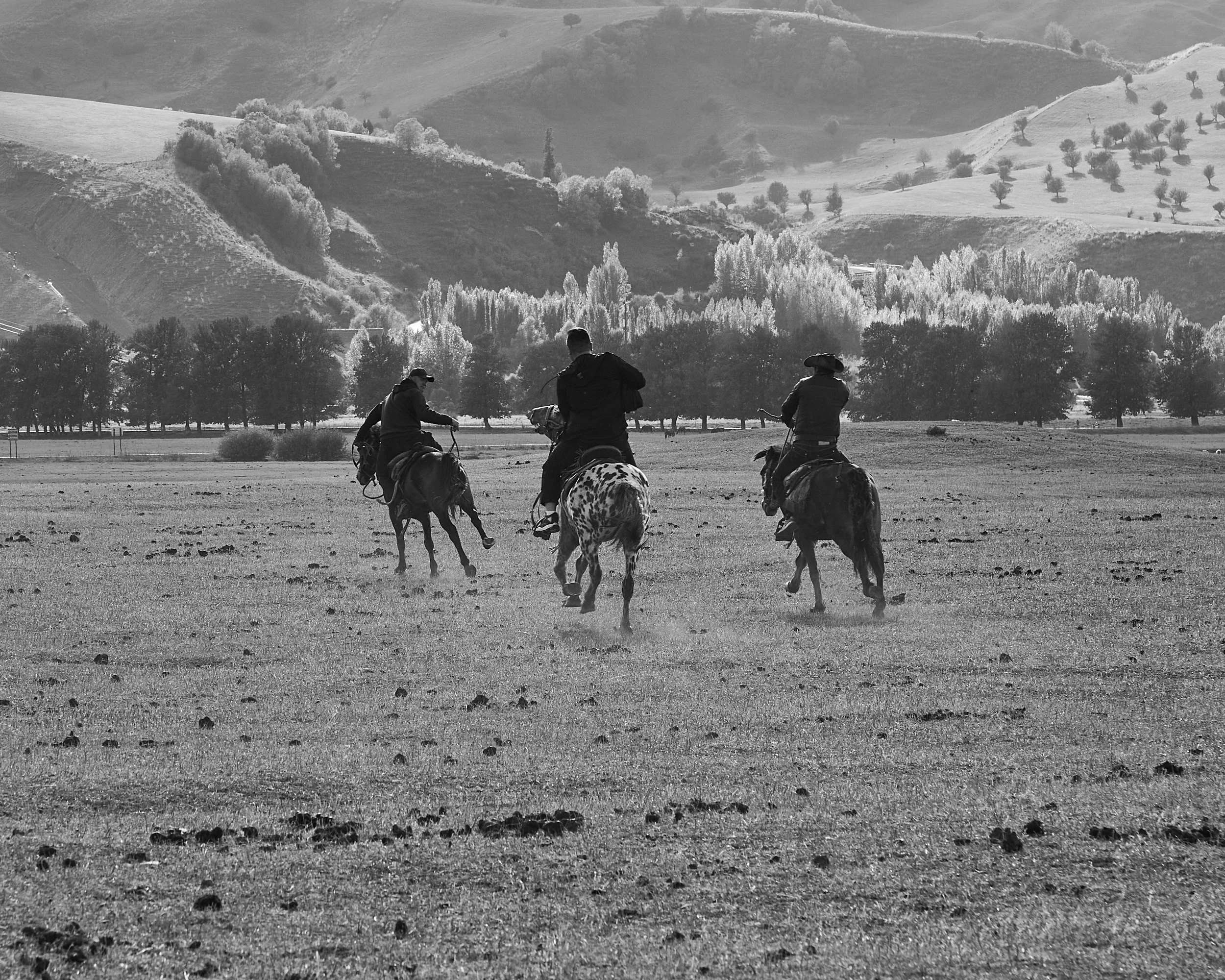 BPHL_XINJIANG_2026_09_11_0788.jpg