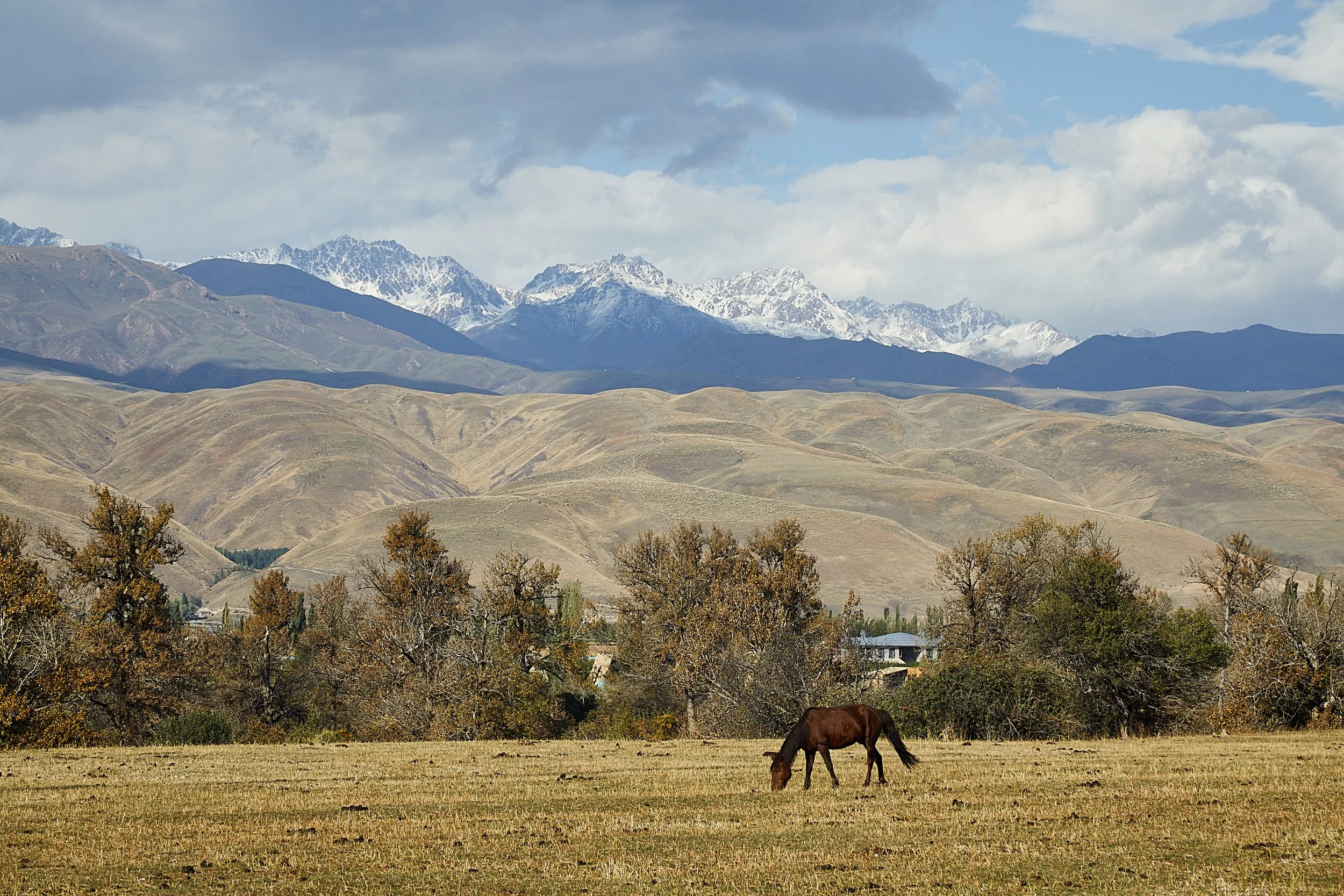 BPHL_XINJIANG_2026_09_11_0790.jpg