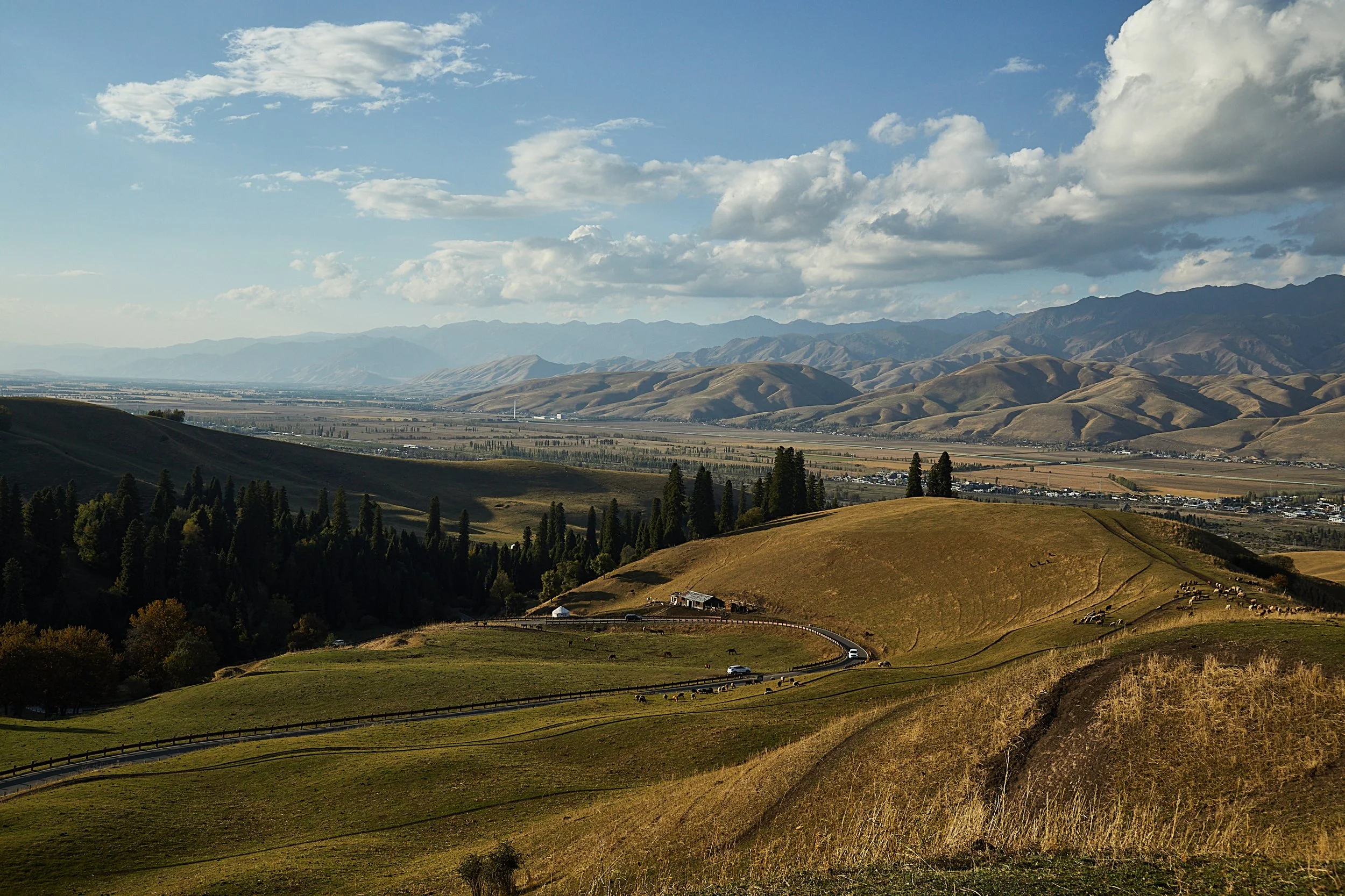 BPHL_XINJIANG_2026_09_11_0793.jpg
