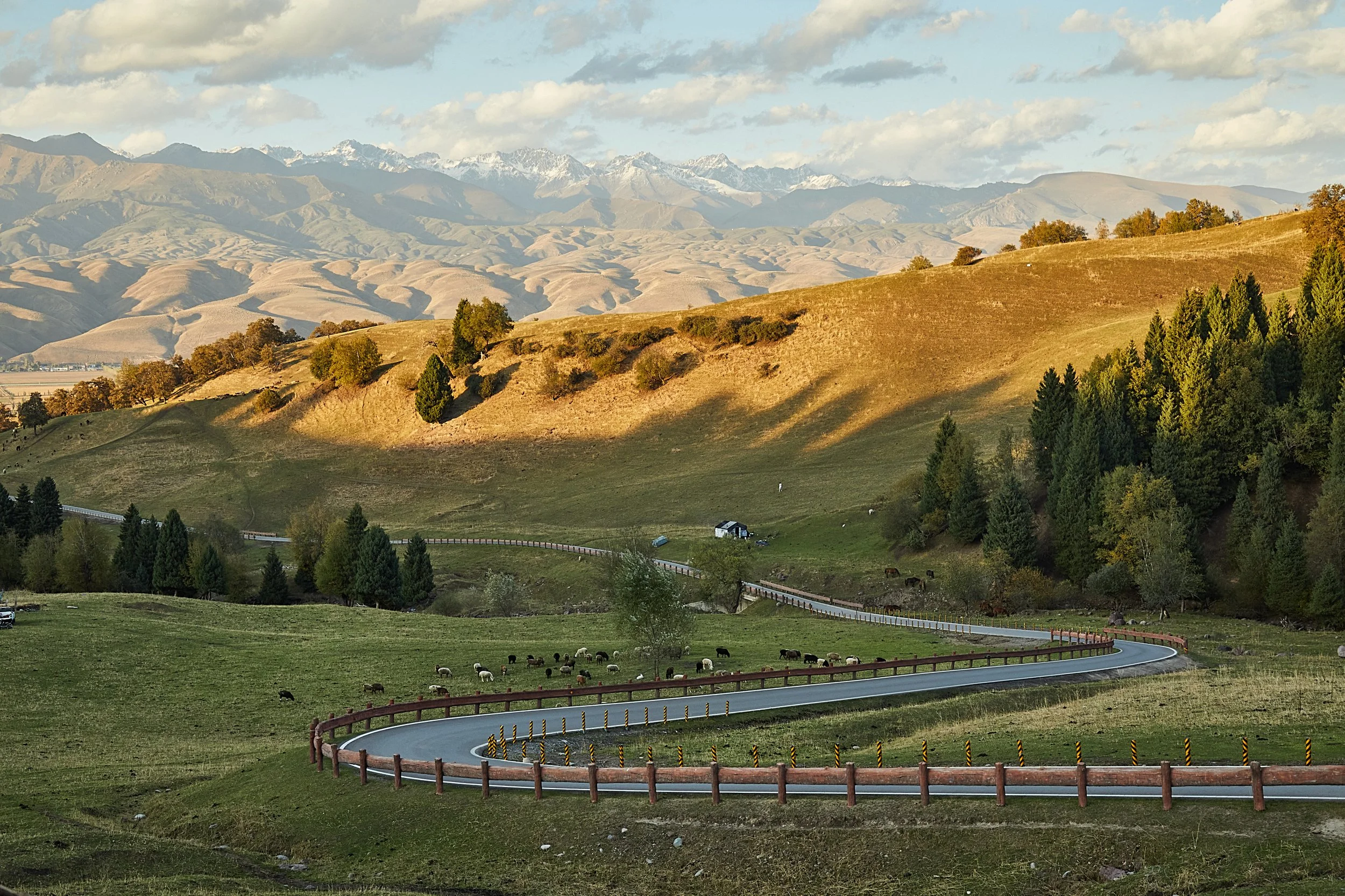 BPHL_XINJIANG_2026_09_11_0797.jpg