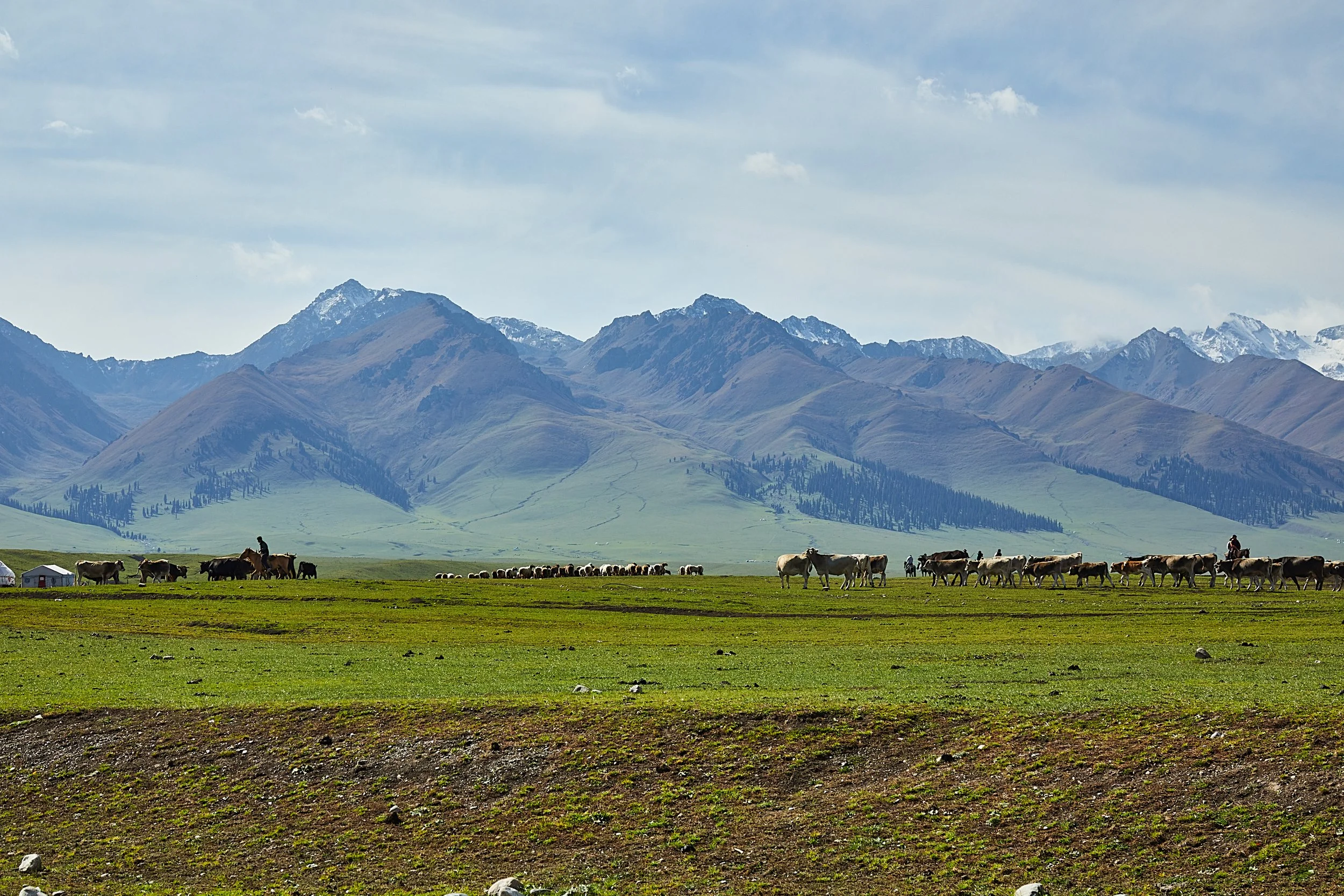 BPHL_XINJIANG_2026_09_11_0801.jpg