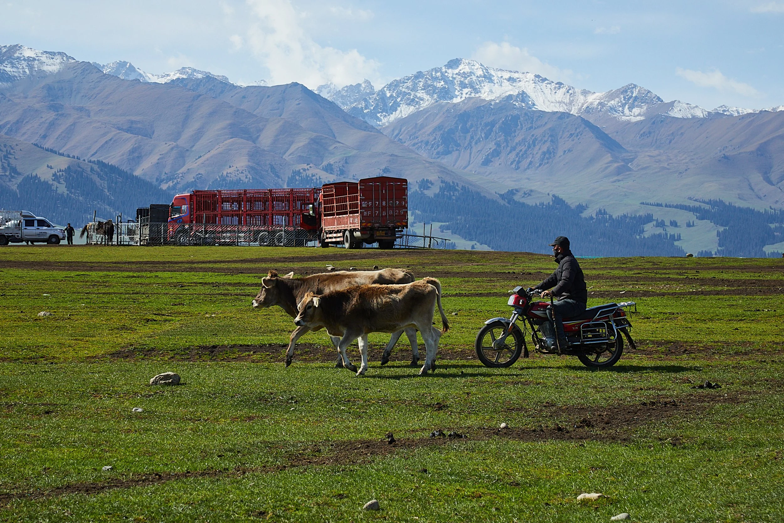 BPHL_XINJIANG_2026_09_11_0802.jpg