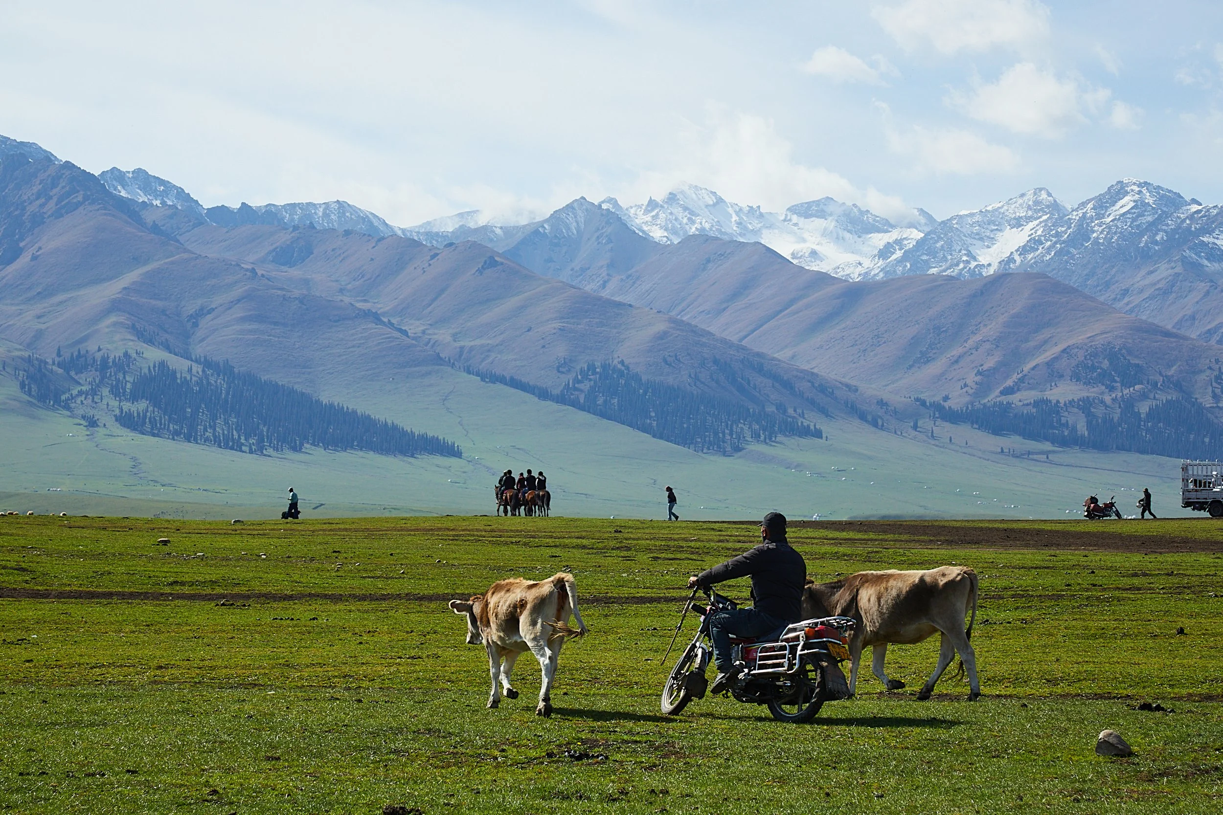 BPHL_XINJIANG_2026_09_11_0804.jpg
