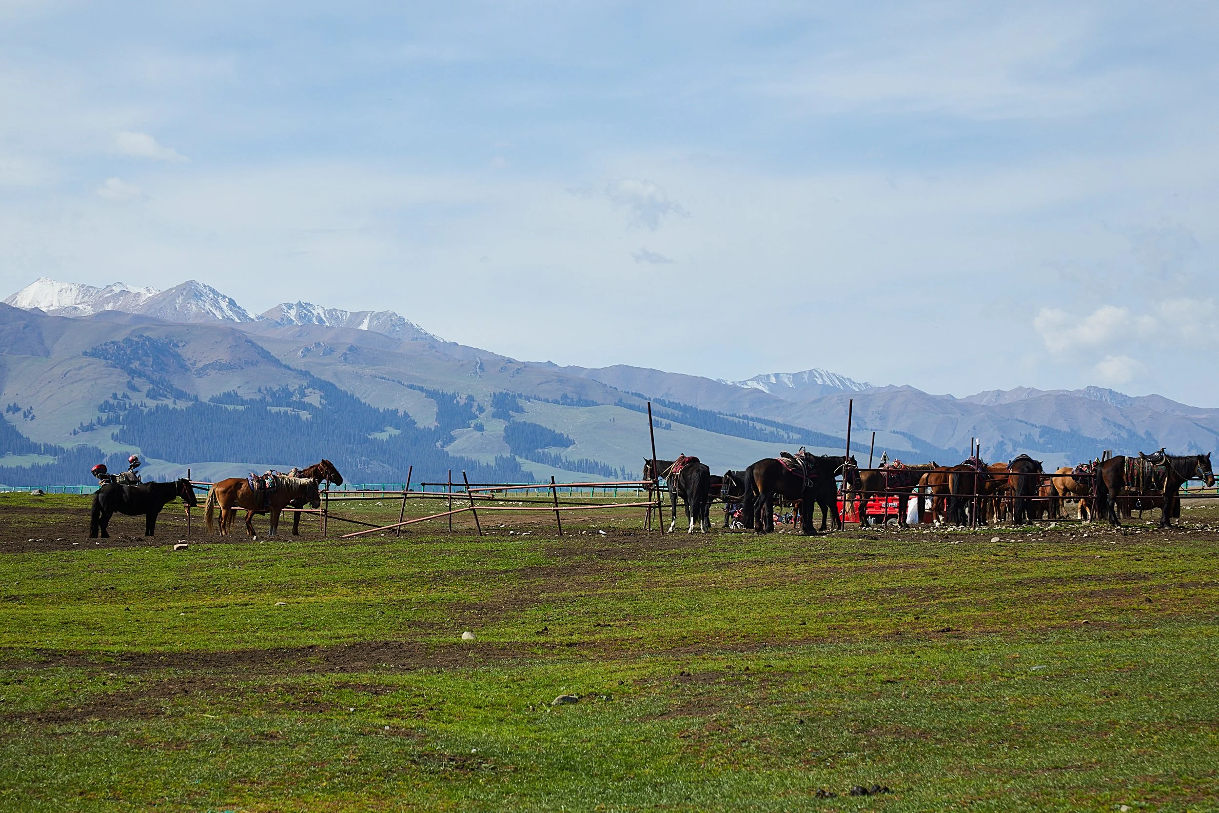 BPHL_XINJIANG_2026_09_11_0806.jpg