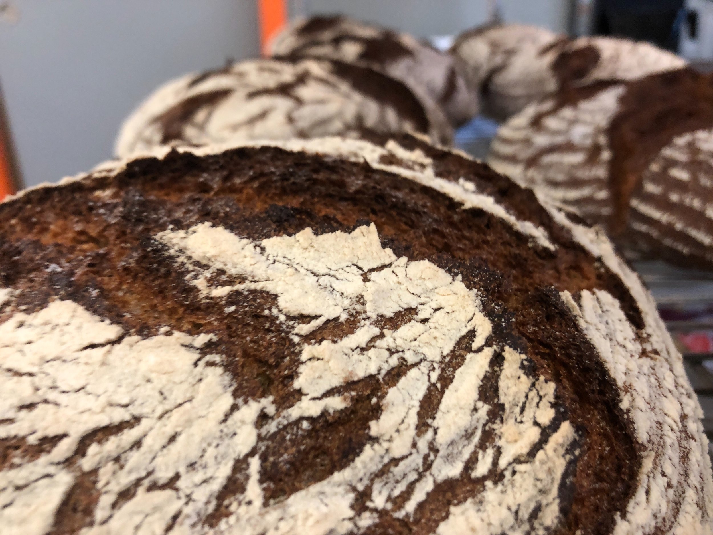 Rustic Rye