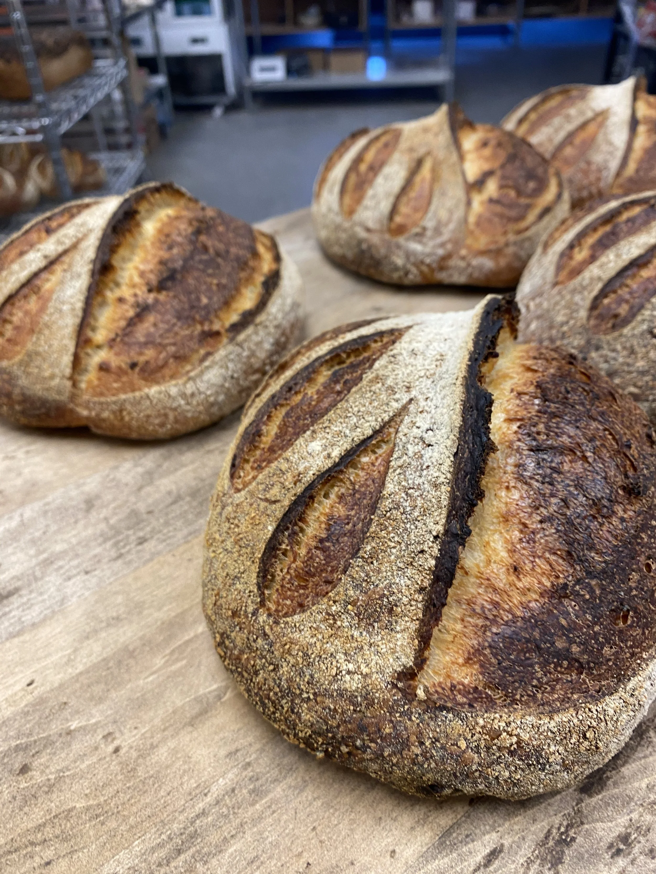 Baking with Wild Yeast