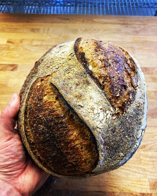 Baking with Wild Yeast: A sourdough primer
