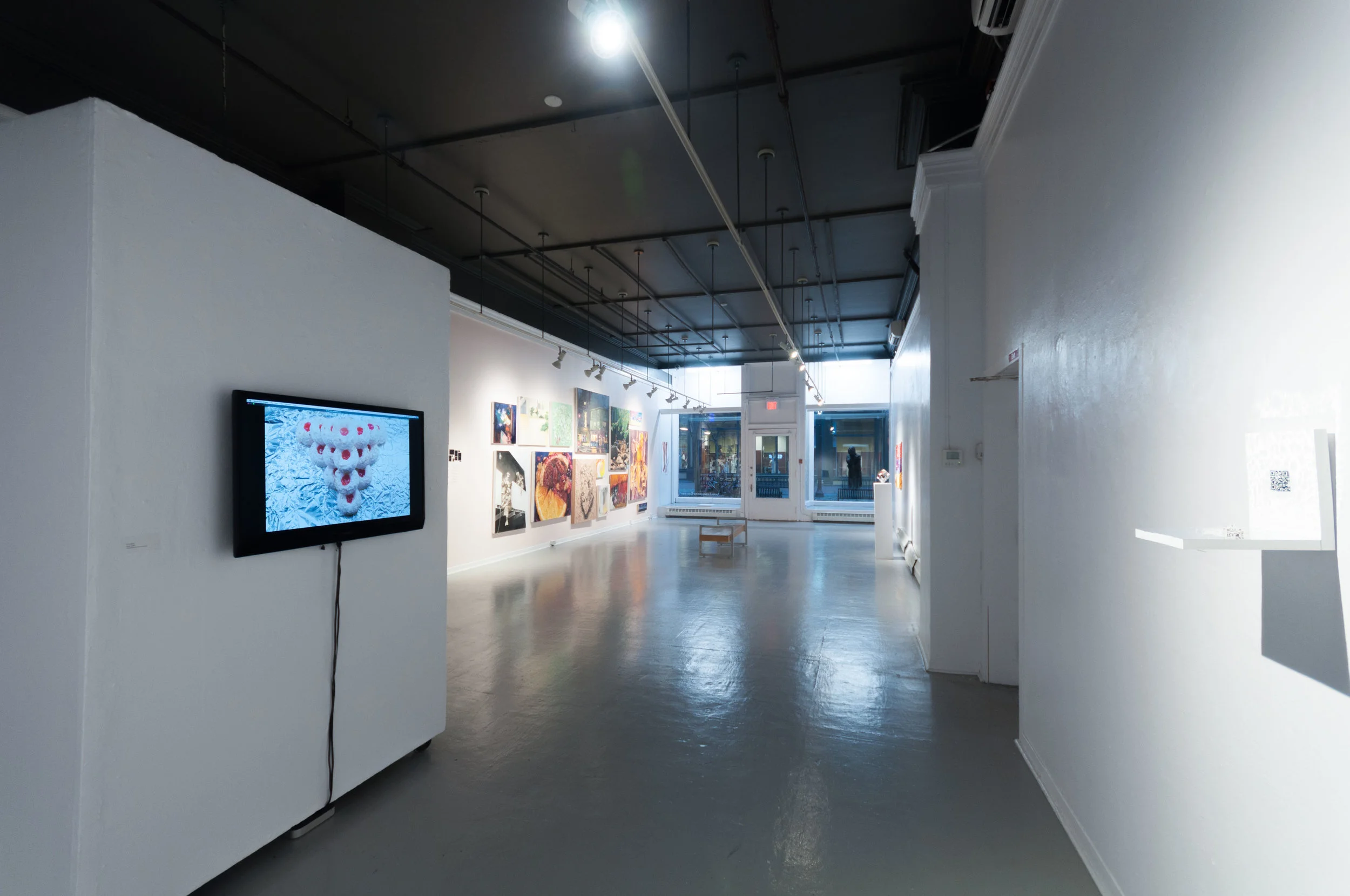 websitepic gradshow 3.JPG