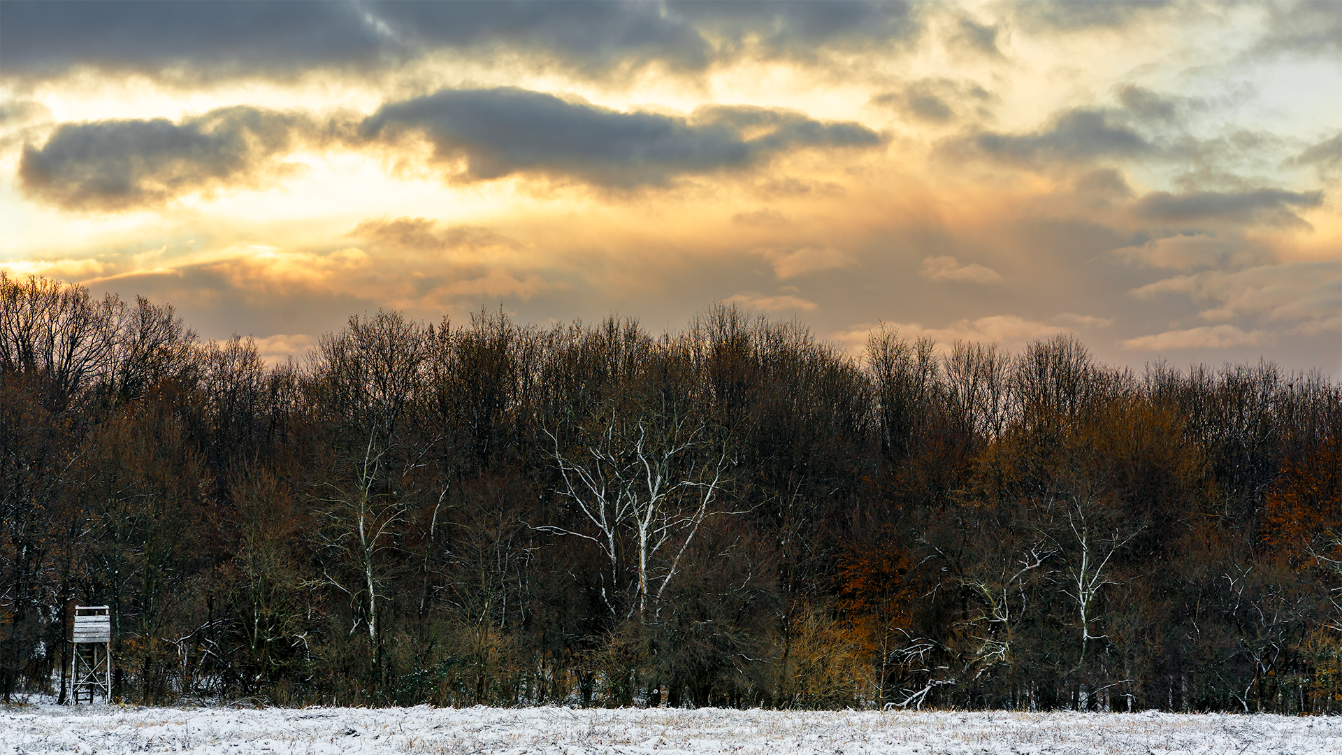 Touch of Winter