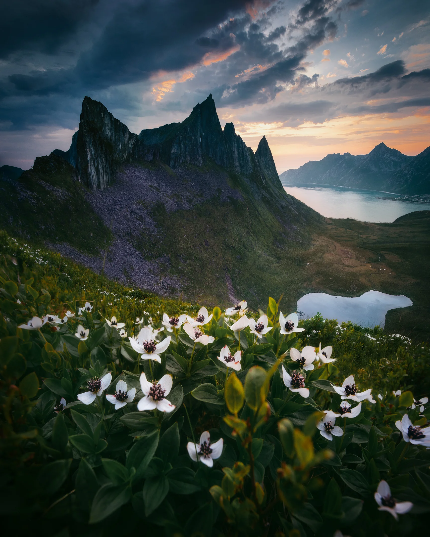 Dramatic touch — Tomas Havel Photography