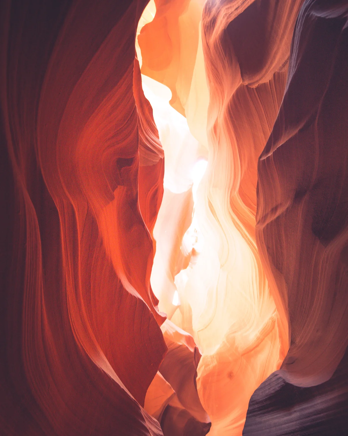 1500px_web_new_5.jpg