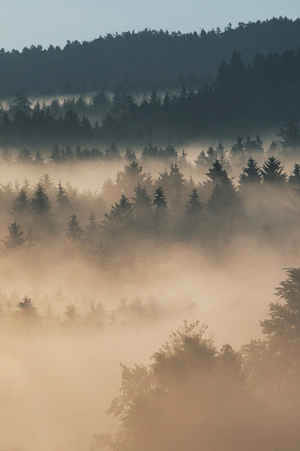 FOGGY_HIGHLANDS (3).jpg