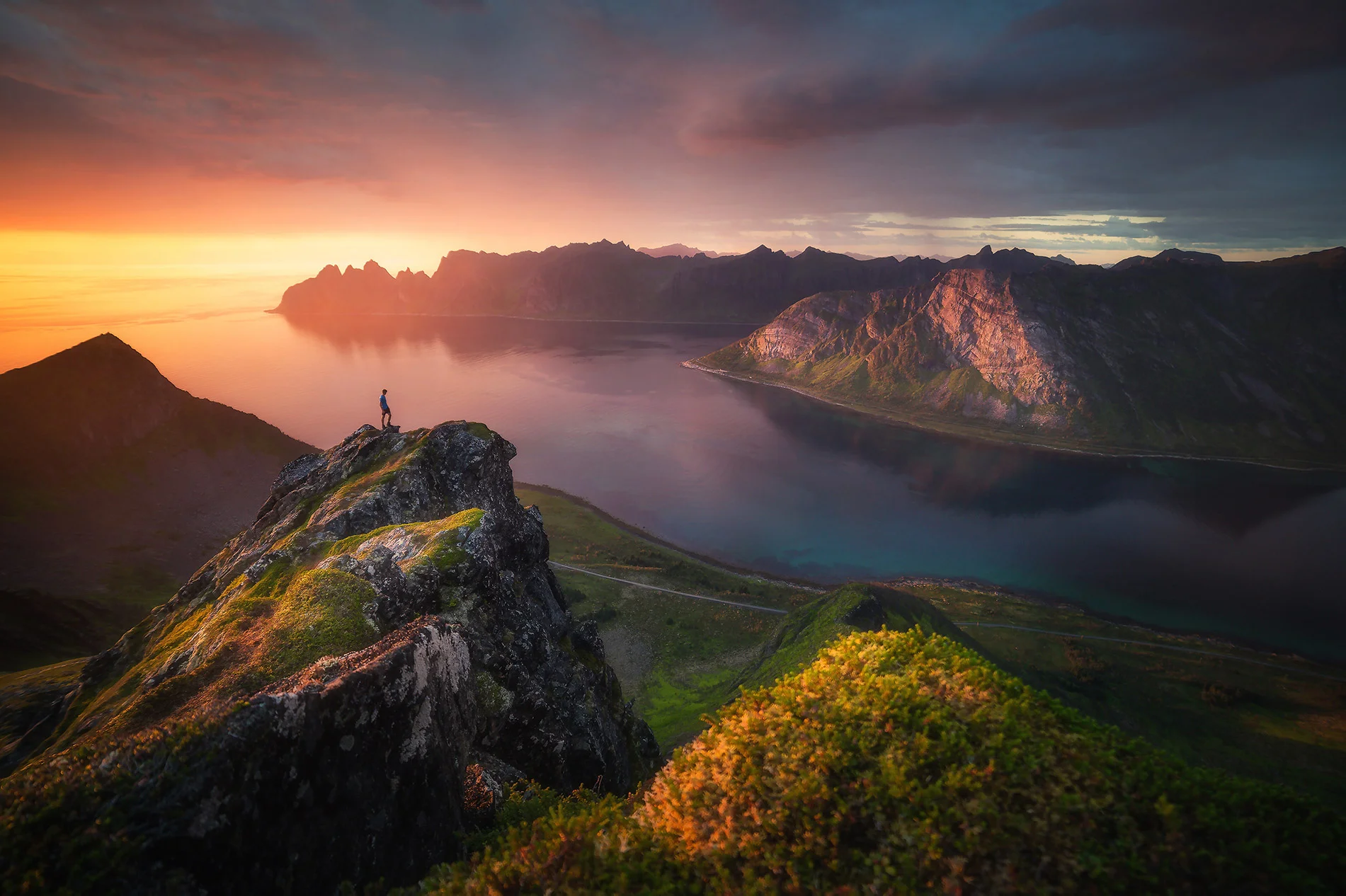 senja_web_cover_new.jpg