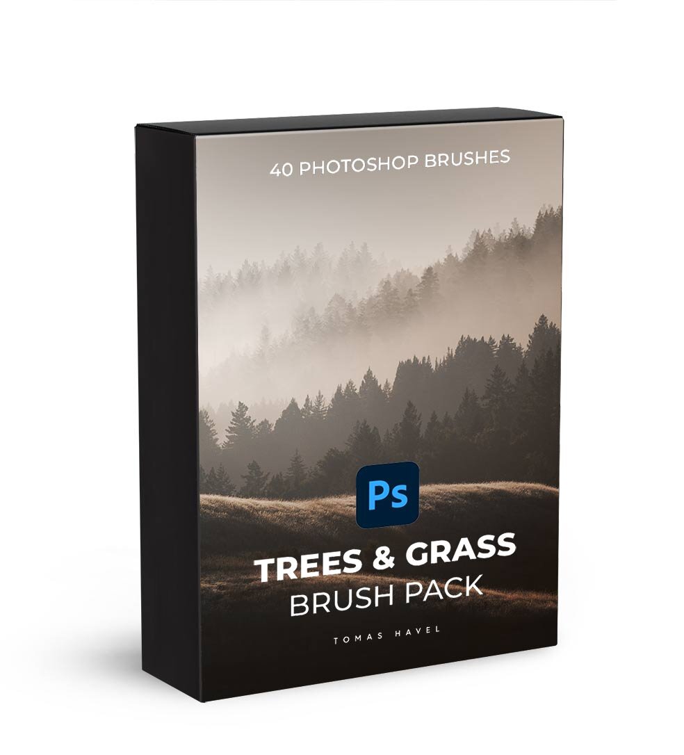 trees_grass_box_web.jpg