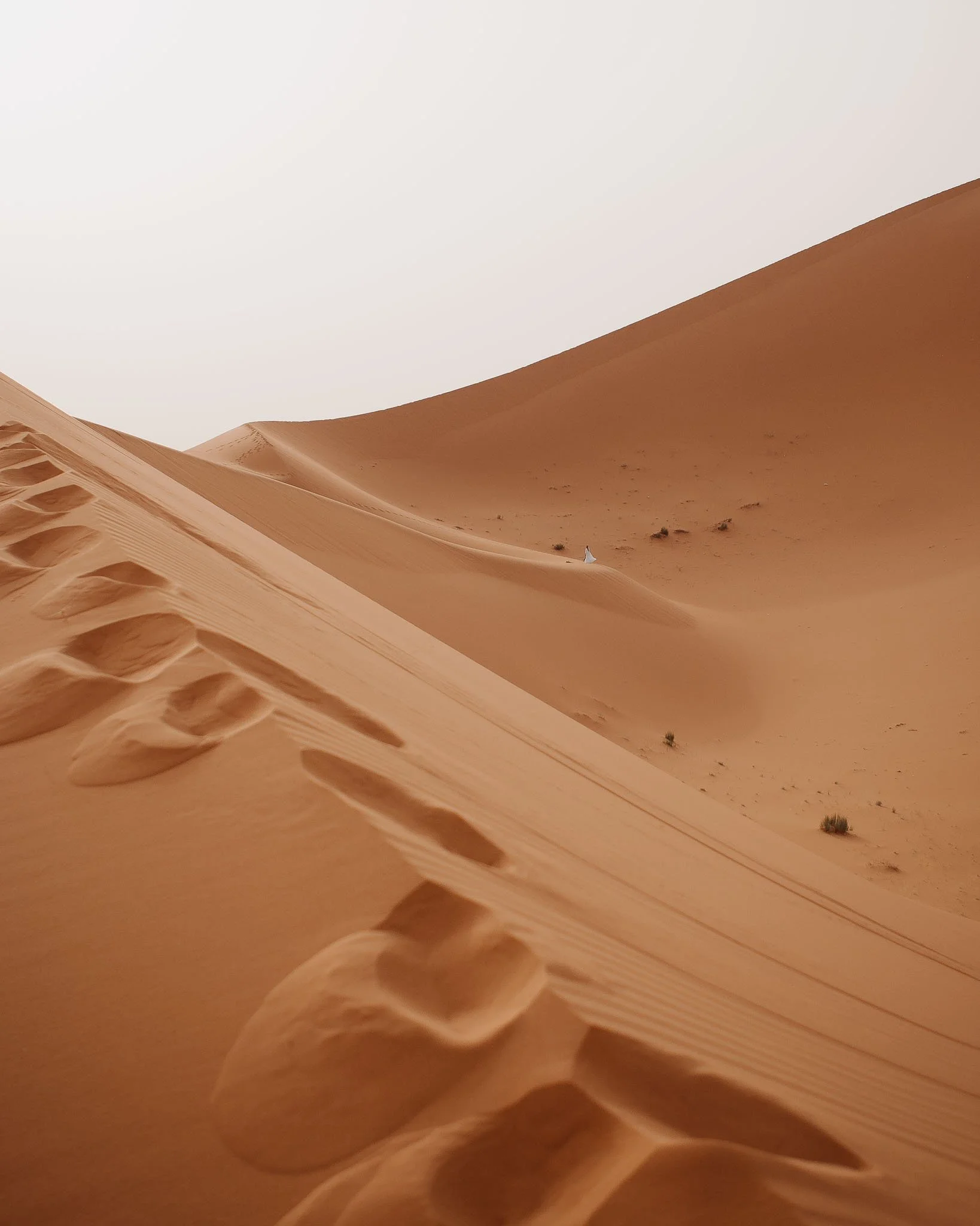 saudi-arabia-15.jpg