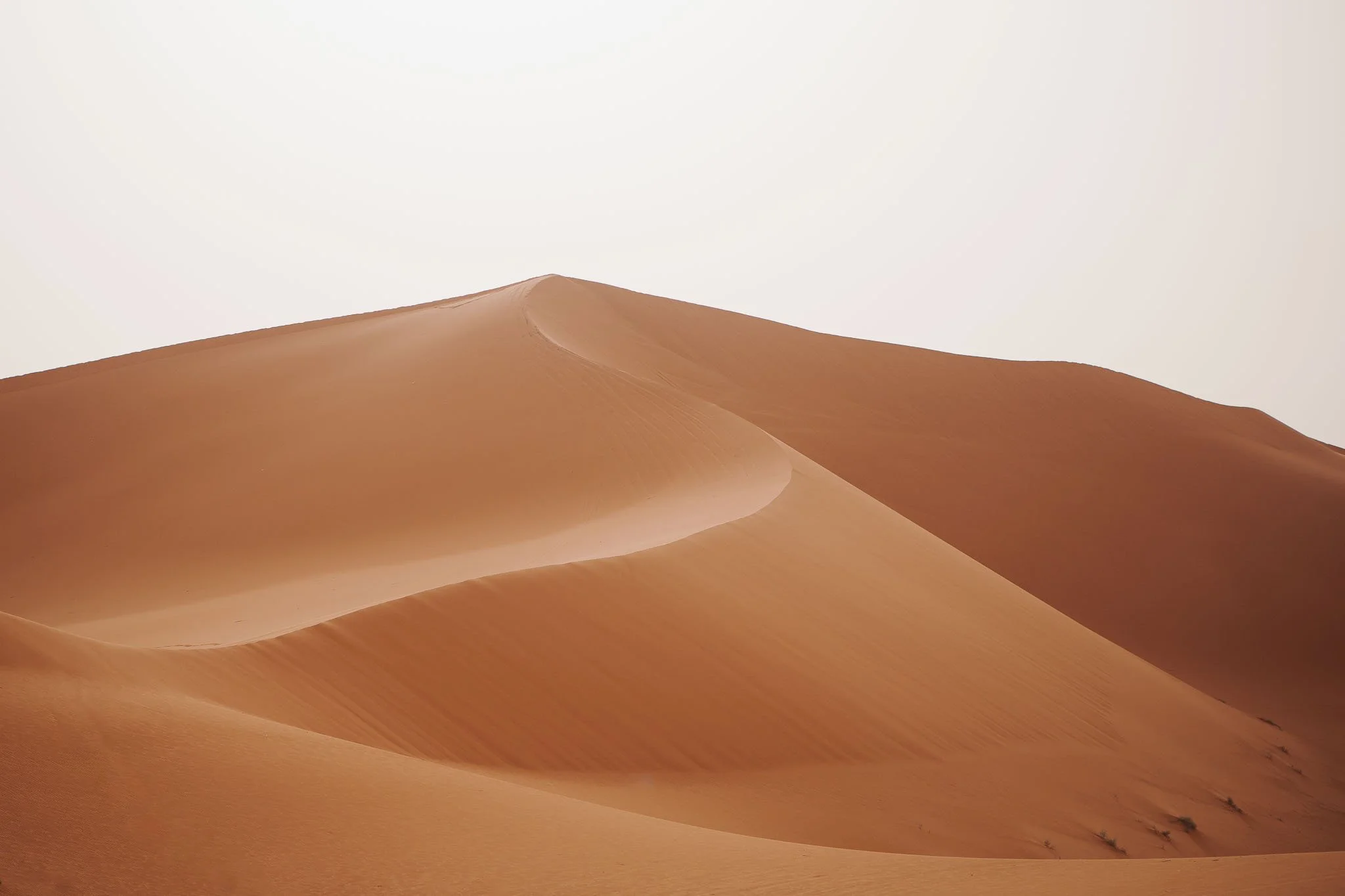 saudi-arabia-18.jpg