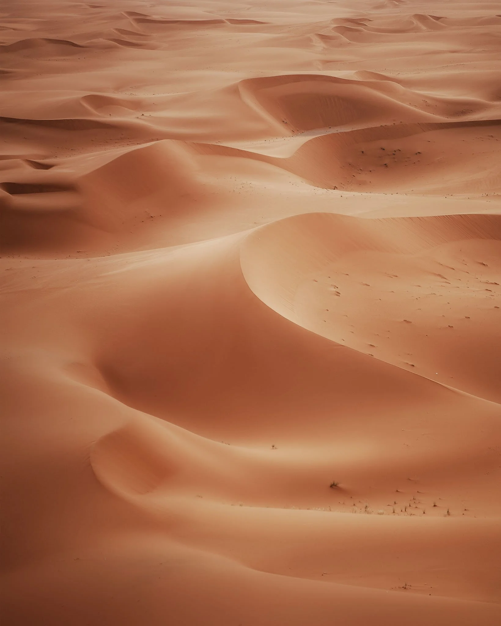 saudi-arabia-14.jpg