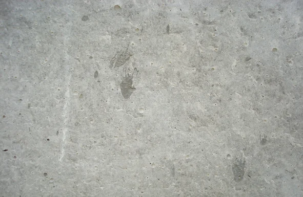 Concrete_1.jpg