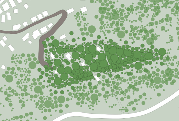 M002_LP_Trees_01.jpg