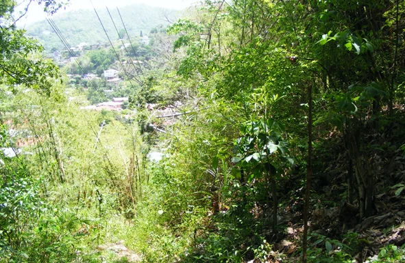 DSCF4755.JPG