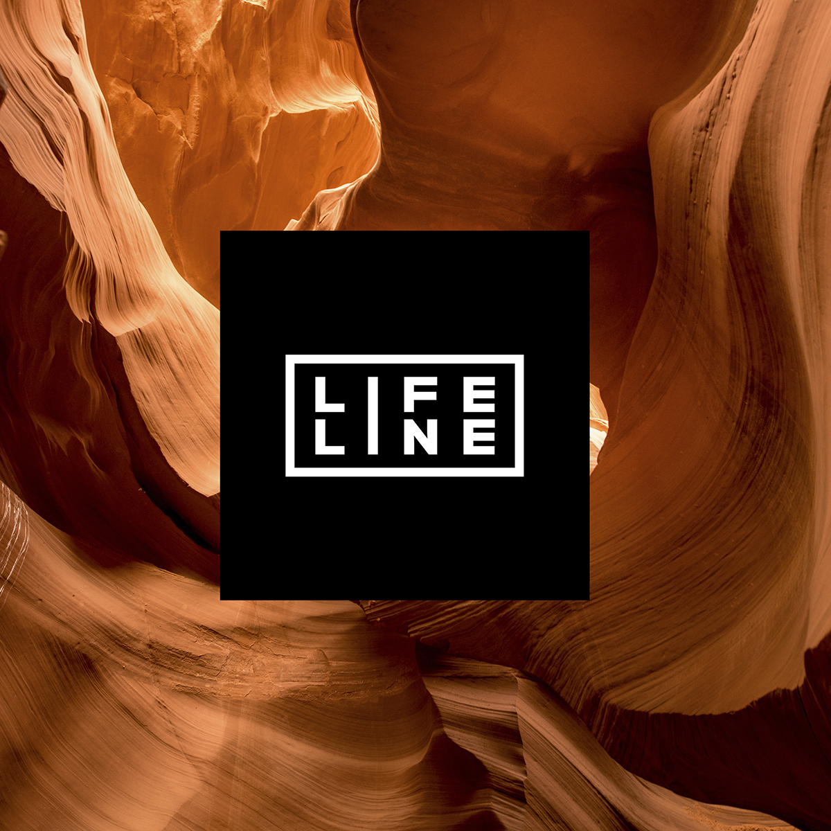 Year 2_Lifeline 1.jpg