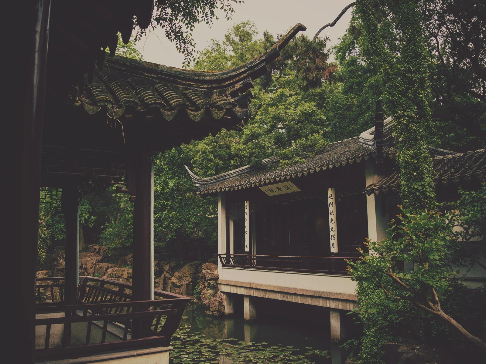 I took this photo while visiting Suzhou, a city in China about two hours west of Shanghai, as part of an Overview of Asian Cultures elective class in second year. I wrote a series of short essays during my three weeks in China and Japan, and coupled with taking a ton of photos, the experience really made me think more deeply about culture and the vast difference between East and West. Also, Kyoto totally stole my heart (the part that wasn’t already taken by Paris).