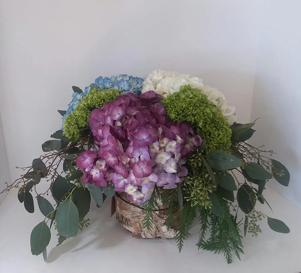 # 99 !Beautiful Hydrangeas!
